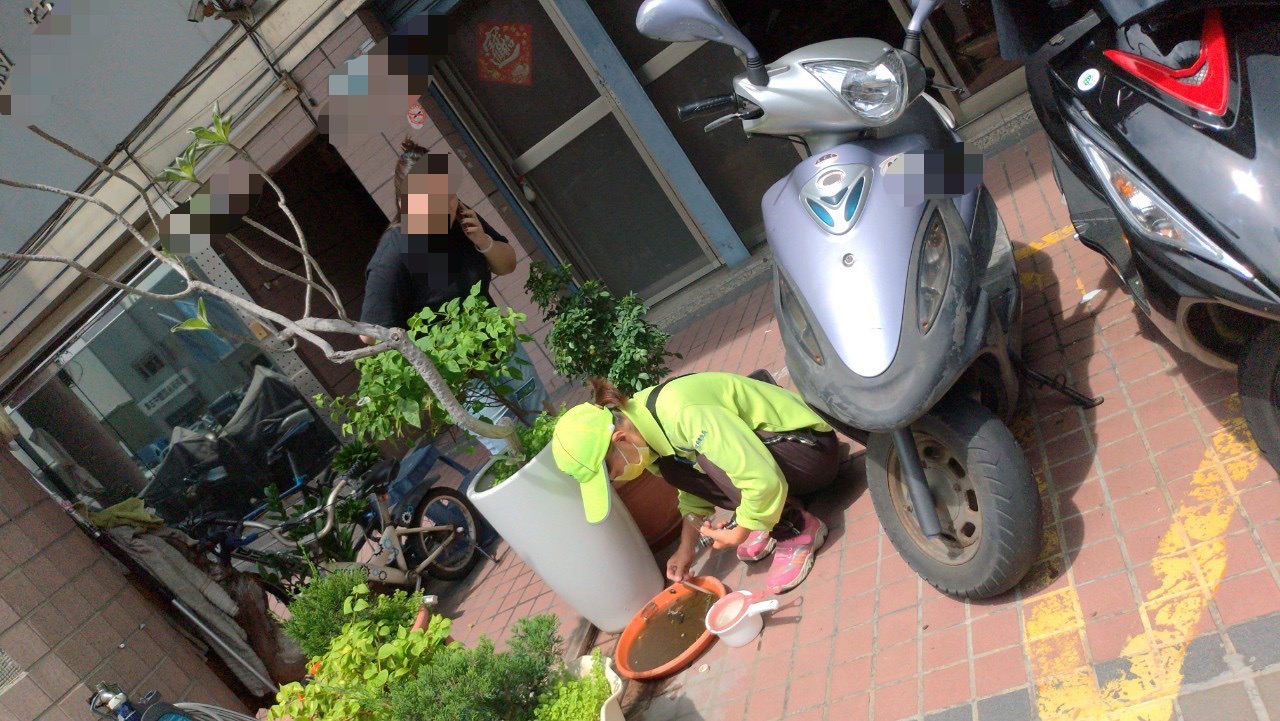 高市衛生局稽查民眾家中盆栽積水，確認有病媒蚊孑孓。（高市衛生局提供）