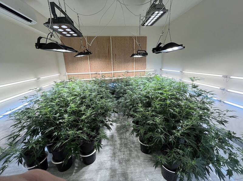 楊父租下透天厝，闢建為大麻種植與加工工廠。（翻攝畫面）
