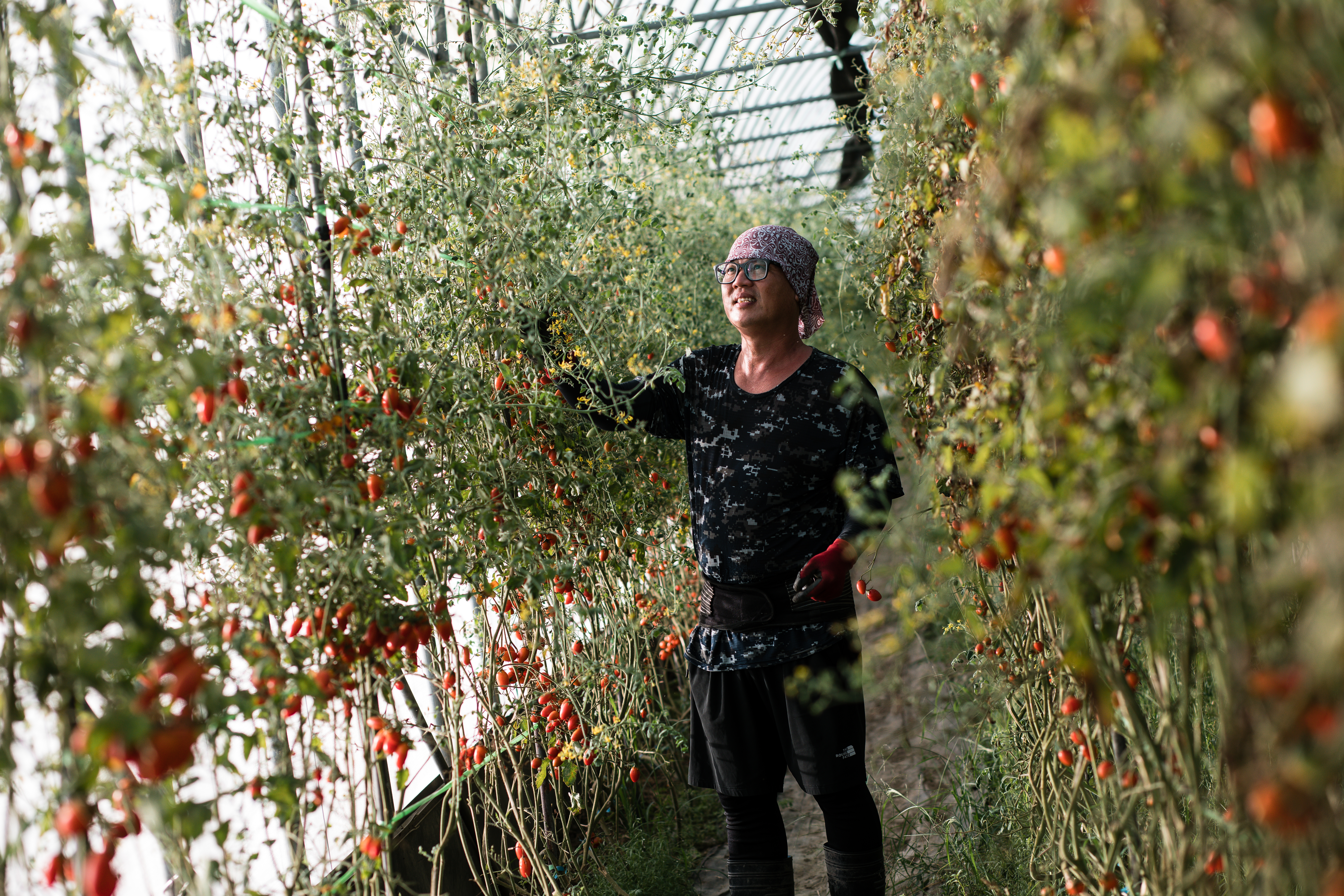 氣候變遷造成的異常氣候越來越頻繁，張智源說自己以農為維，不可能離開，要想辦法加強應變能力。