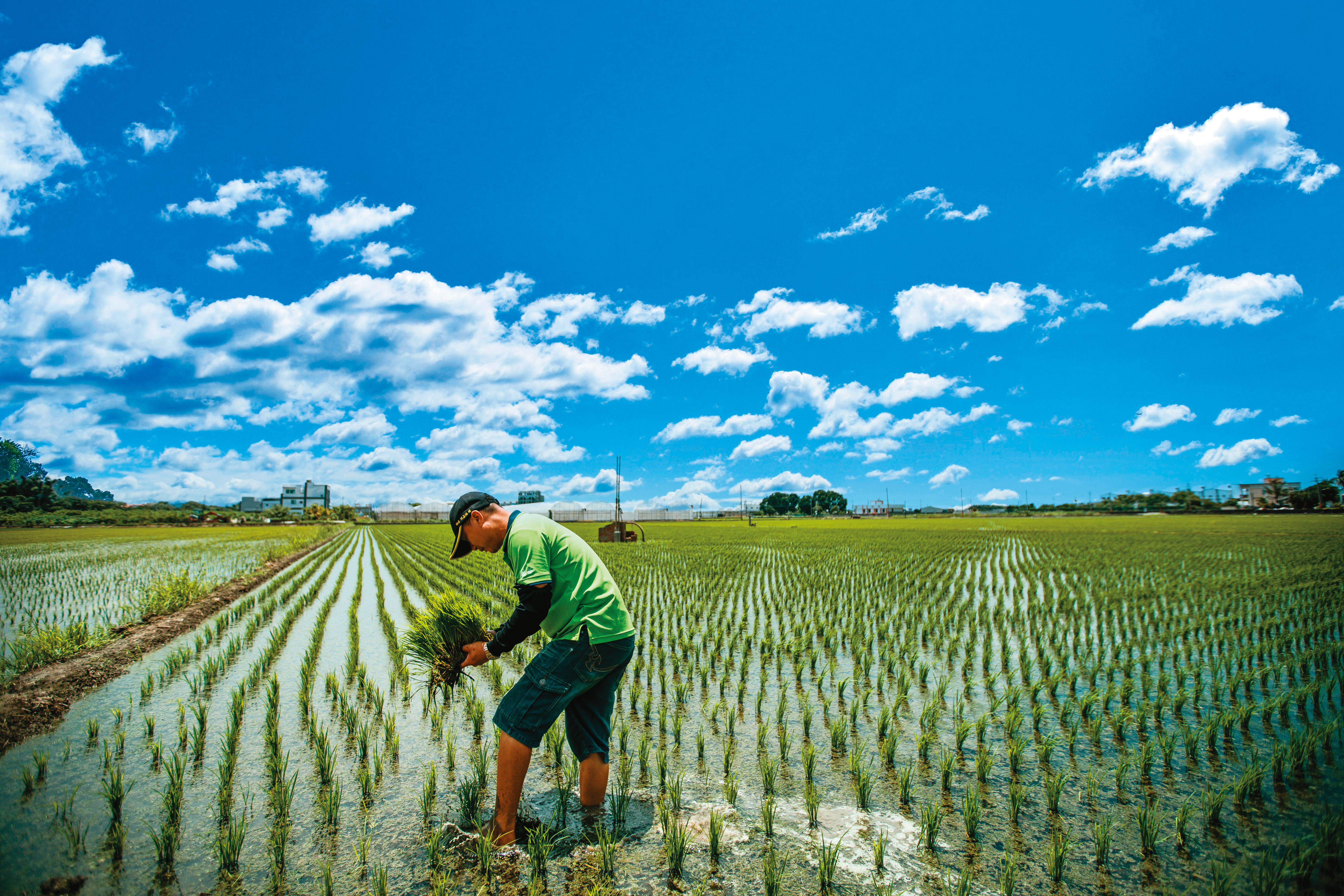 今夏全球飆高溫創歷史新高,當溫度越高,中暑的人越多,7月嘉義更傳出青農疑似因中暑身亡的案例,顯示熱傷害是全球暖化下必須正視的威脅。