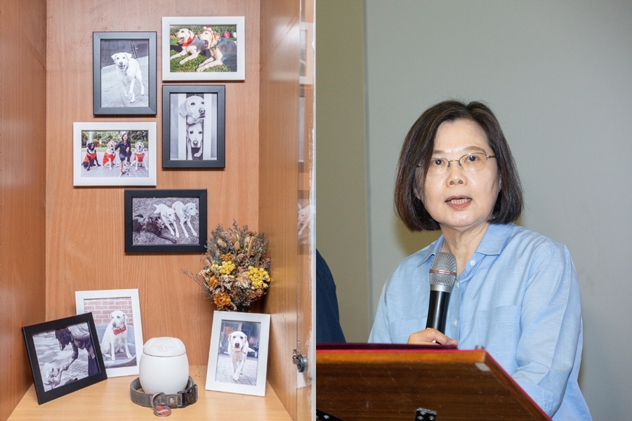 愛犬Bella過世，蔡英文發聲呼籲飼主好好珍惜和家中毛小孩相處的時光。（翻攝自蔡英文IG、本刊資料照）