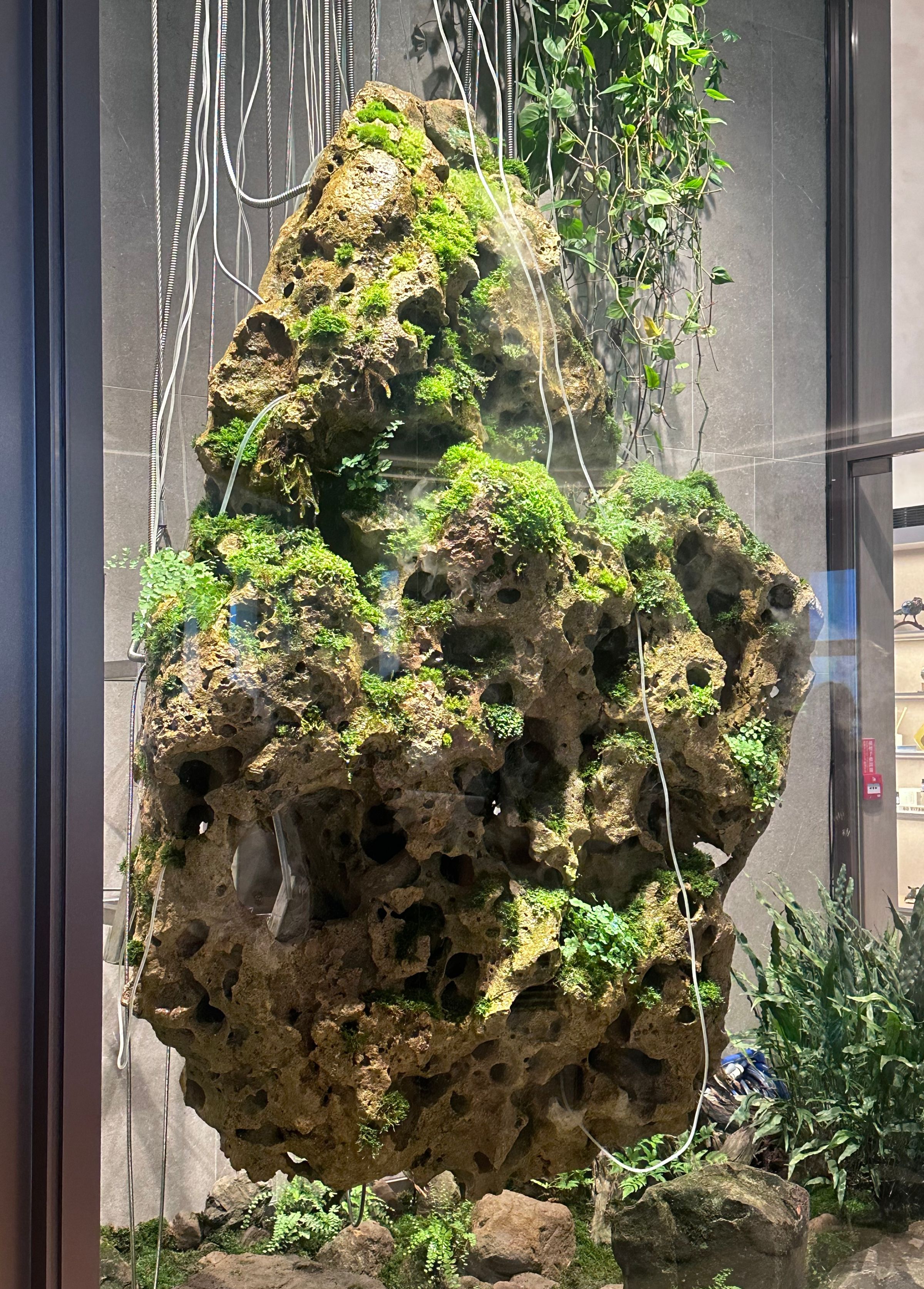 石倚煙加裝生物傳感器後，以水霧無聲演繹著生命姿態。   