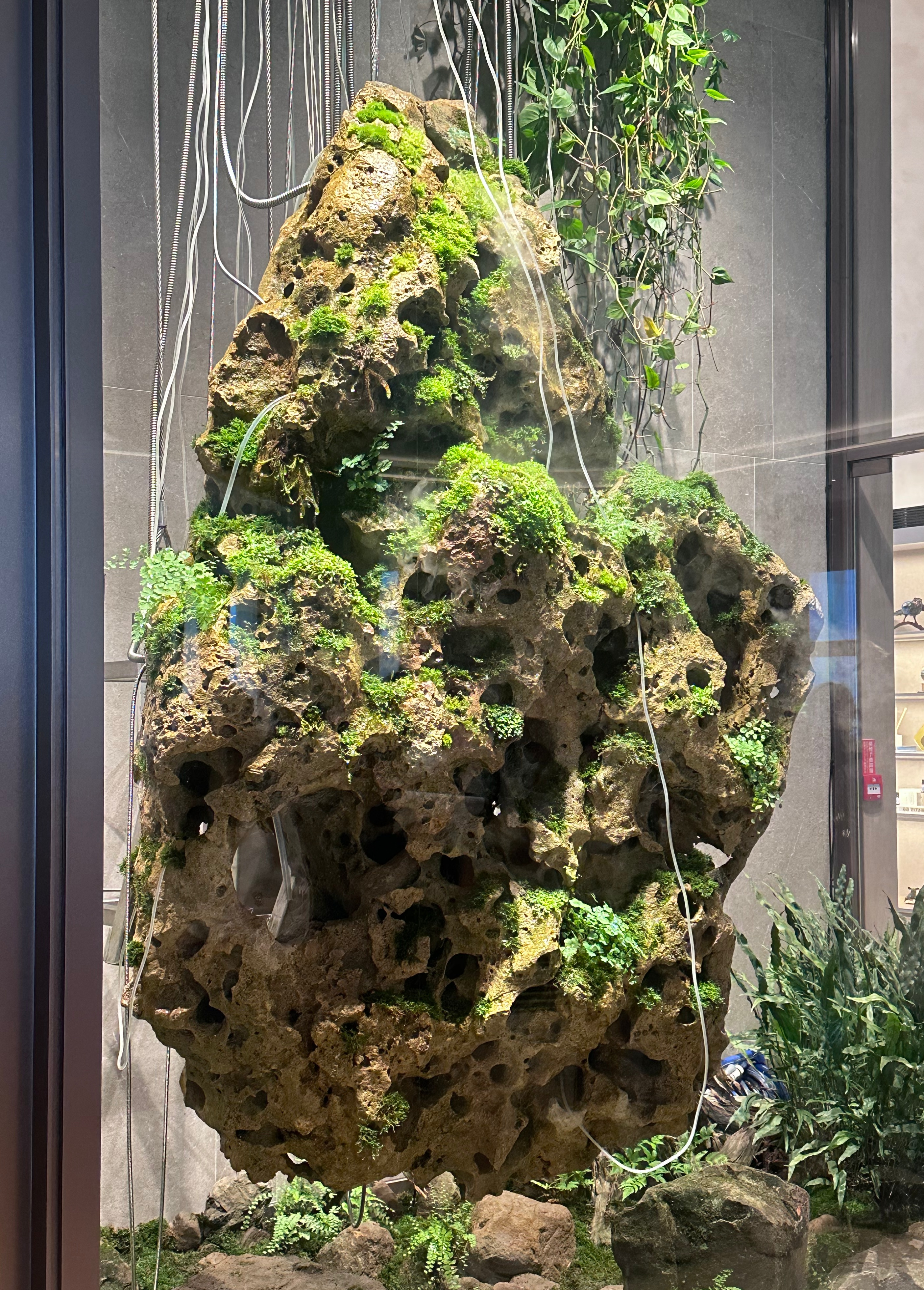 石倚煙加裝生物傳感器後，以水霧無聲演繹著生命姿態。   