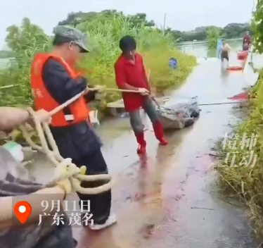 廣東省茂名市彭村湖昨有75隻鱷魚逃家，目前已抓回8隻鱷魚。（翻攝都市快報抖音）