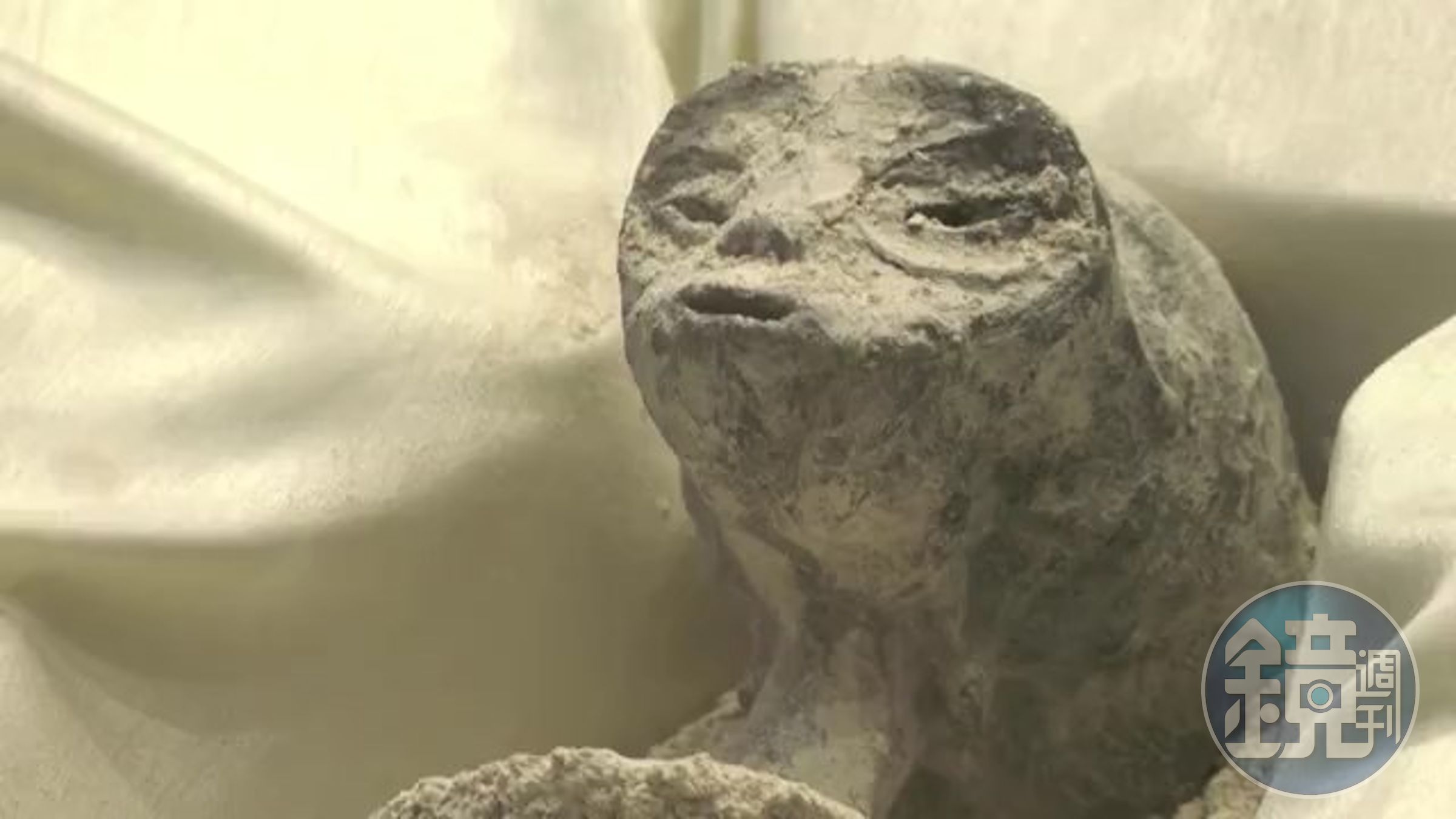 外星人屍體曝光!專家掛保證:1千年前就在地球了。(翻自《都市報》)