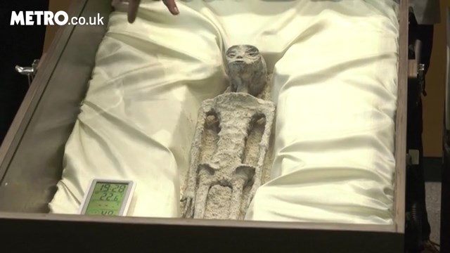 莫桑強調，這些外星人屍體證明，人類在宇宙中並不孤單。（翻自《都市報》）