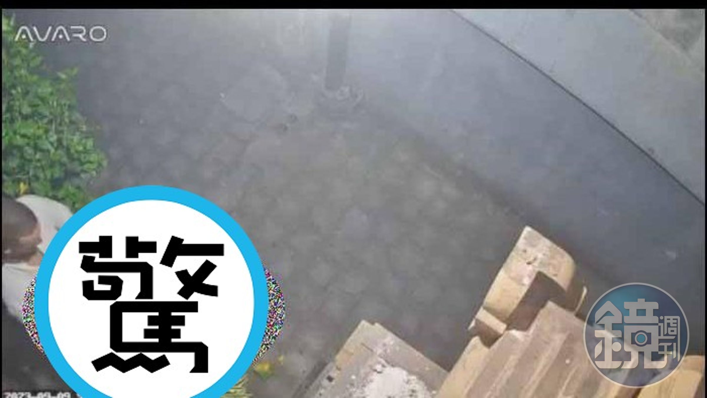 情侶在人家門前做愛，狗狗嚇呆了！驚動屋主看監視器直播硬到不行。（翻自《每日星報》）