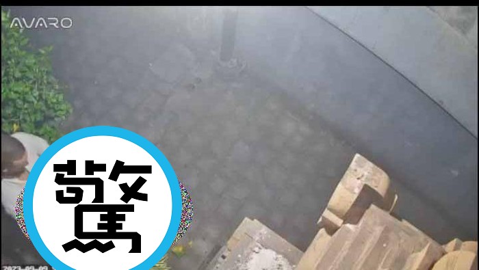 情侶在人家門前做愛,狗狗嚇呆了!驚動屋主看監視器直播硬到不行。(翻自《每日星報》)