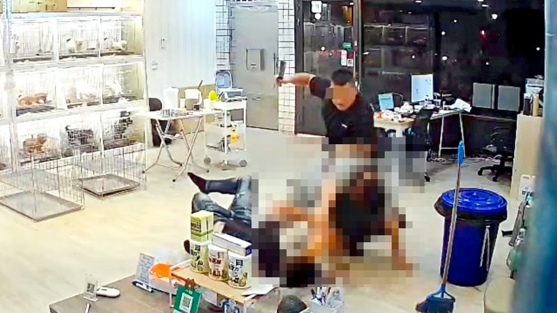 雙煞闖進彰化一間寵物店，砍斷林姓店員的右手。（翻攝畫面）