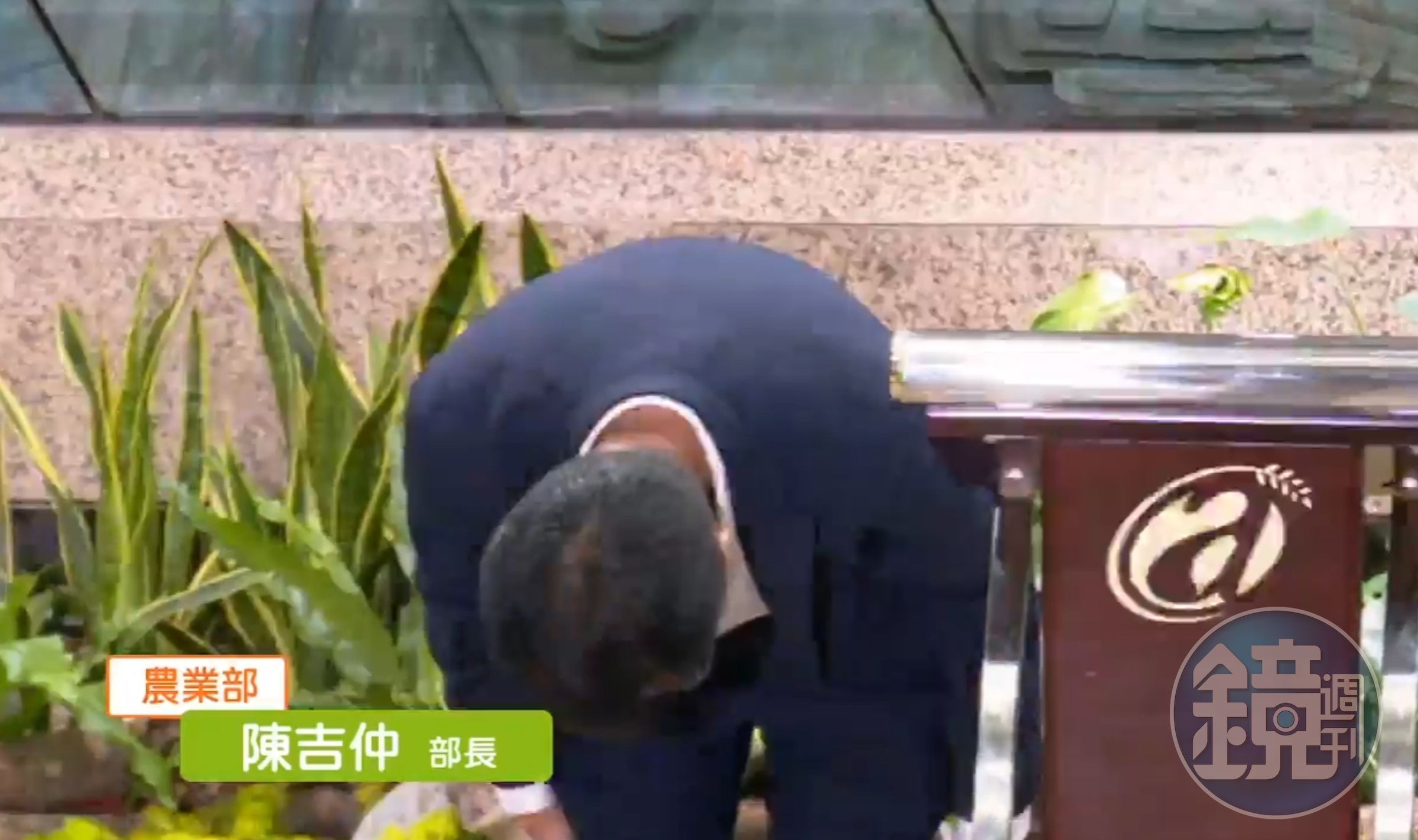 陳吉仲在稍早記者會中,二度鞠躬道歉。(翻攝自農業部臉書直播)