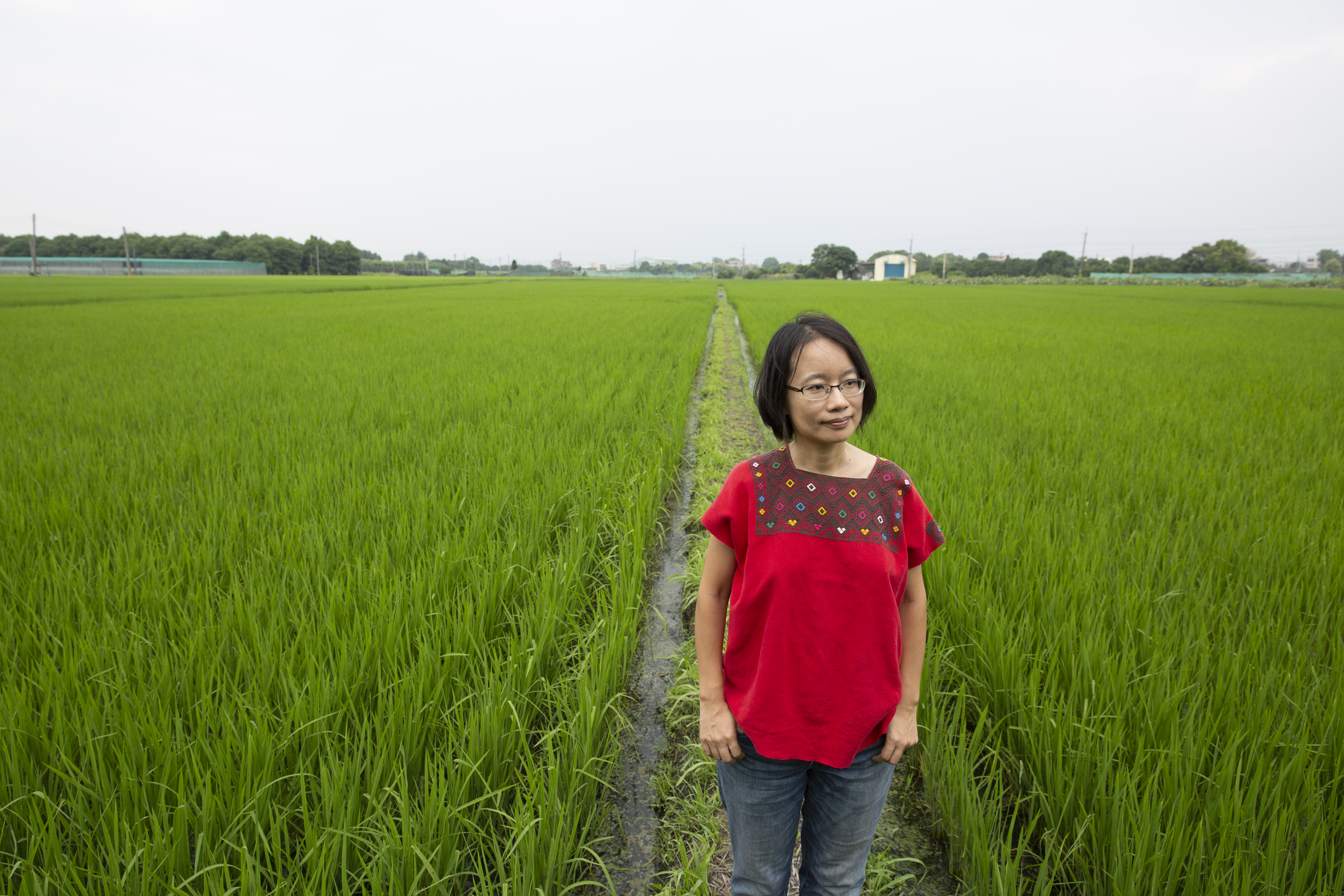 當年同樣因為農業問題而下台的吳音寧，感嘆陳吉仲如今也被同一批人為了政治利益而攻擊。（本刊資料照）