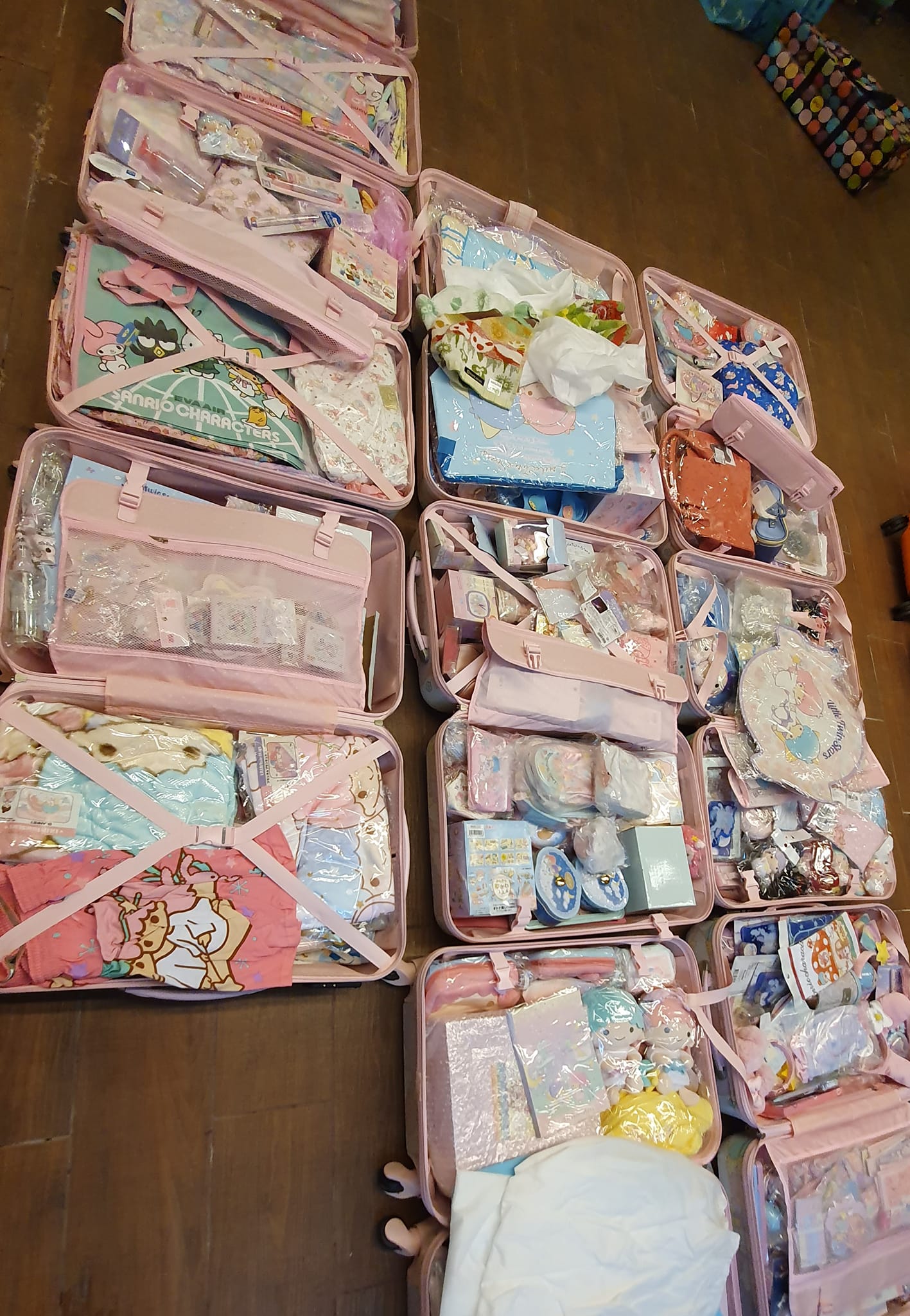 寇乃馨對Kikilala雙子星愛不釋手。(翻攝自寇乃馨臉書)