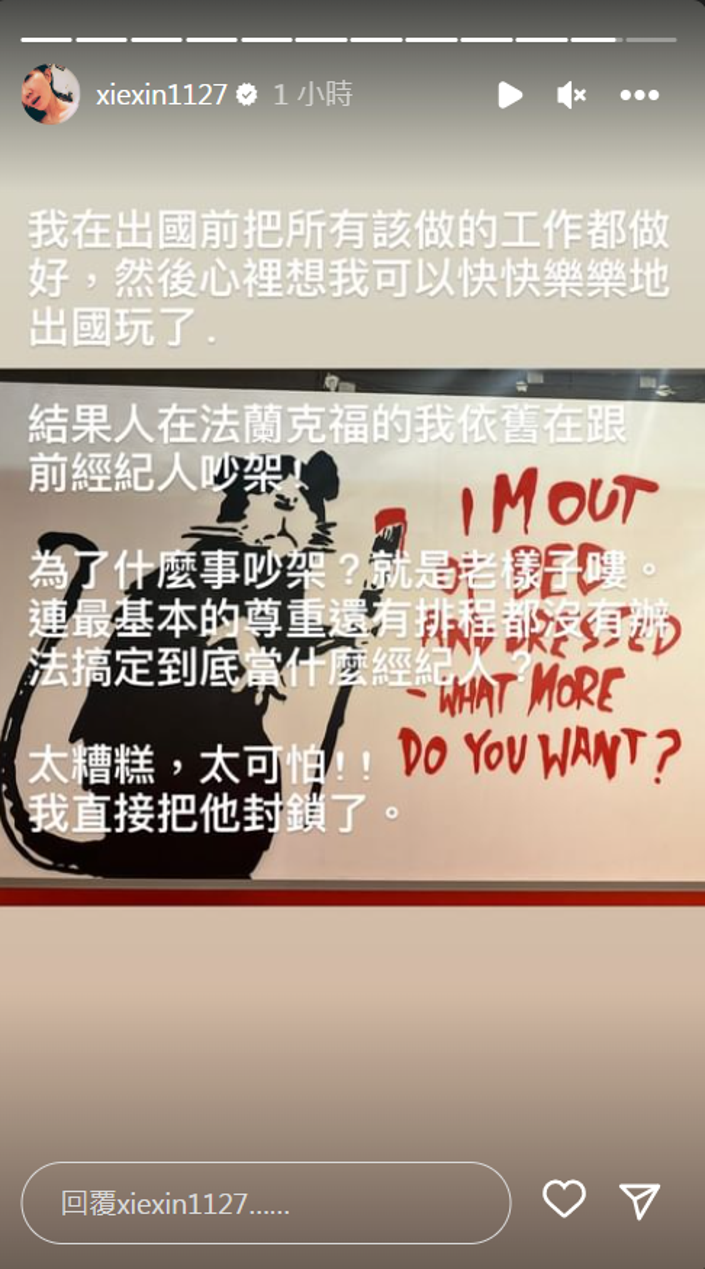 謝忻重話批評前經紀人行事。（翻攝自謝忻IG）