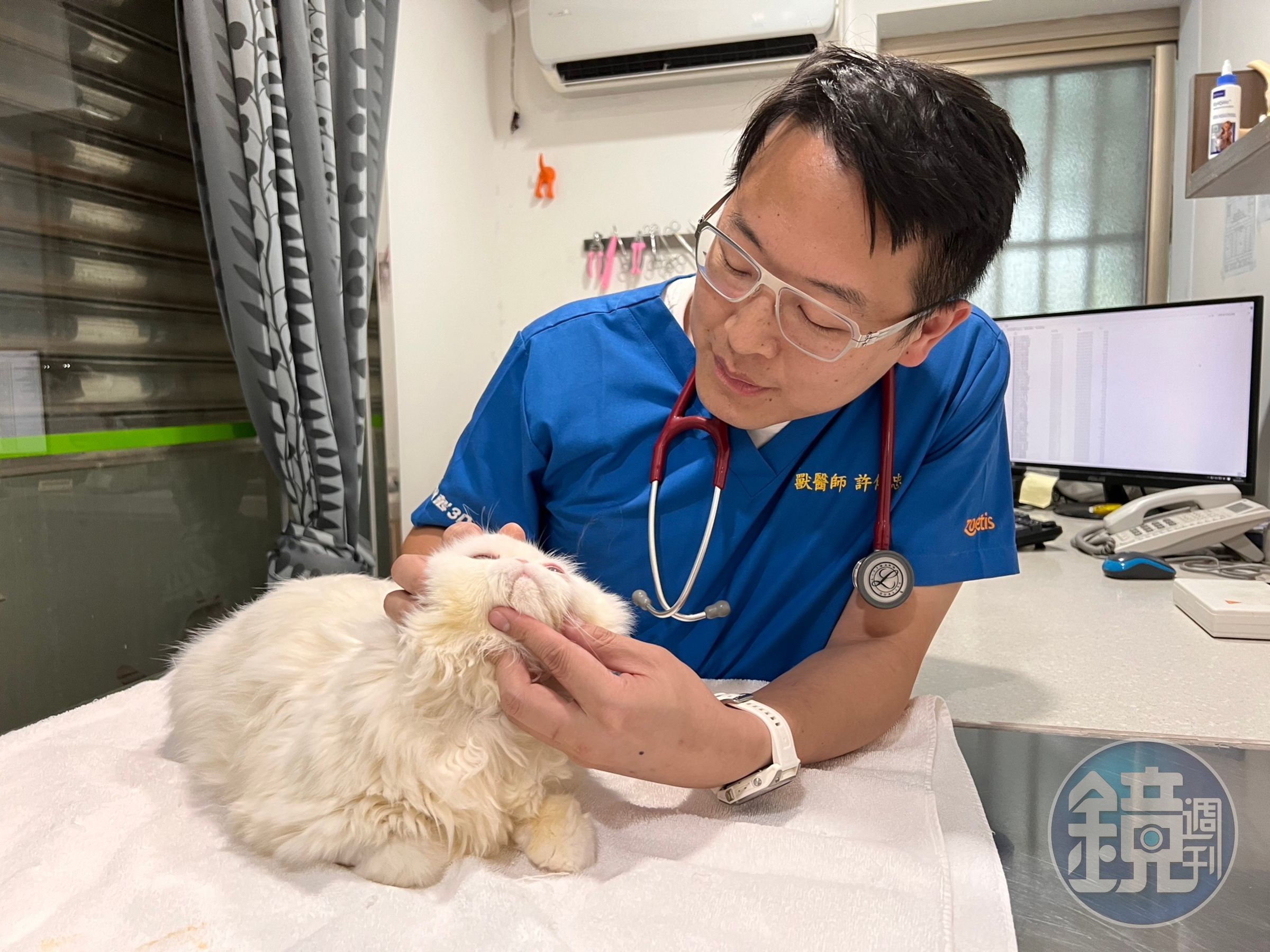 興沛動物醫院許傳忠院長表示,中秋節過後,前來就診的犬貓約提升約 10-20%,很可能與飼主不當餵食有關。(興沛動物醫院提供)