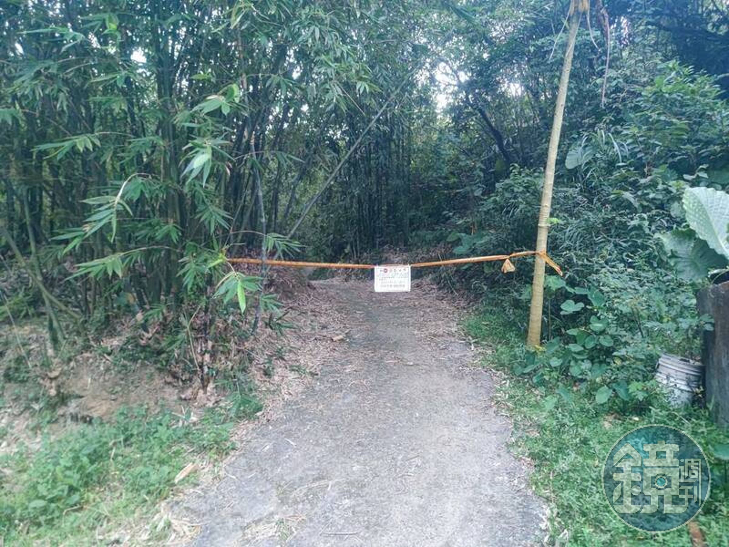 新北市瑞芳區八分寮山區20日發生蜂螫事件造成2死,由於尚未尋獲蜂巢,現已暫時封閉6處登山口。(翻攝照片)