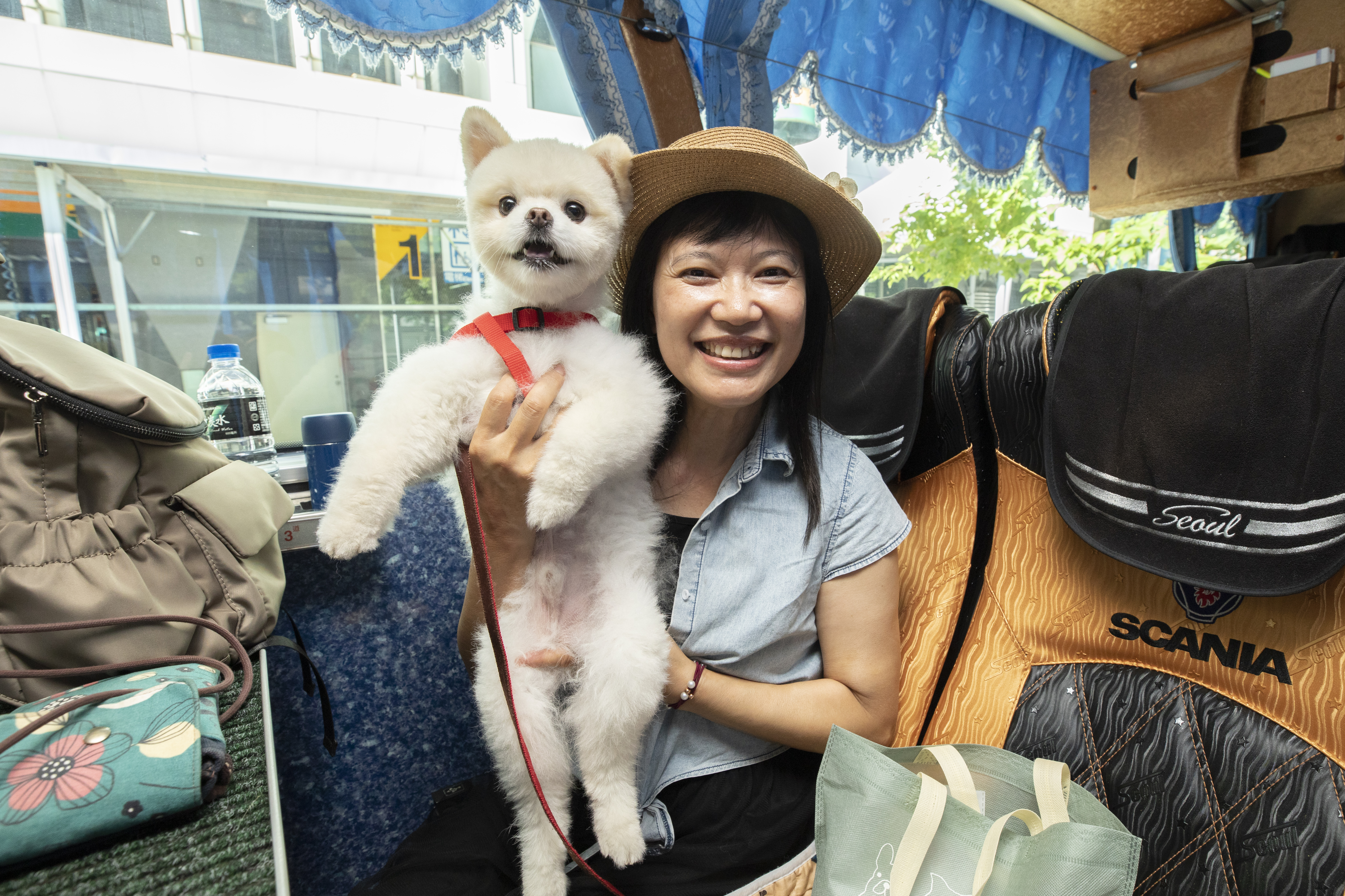 球球媽和全家人帶小兒子博美犬「球球」半夜3點從南投開車來台北集合，準備前往台東看熱氣球。