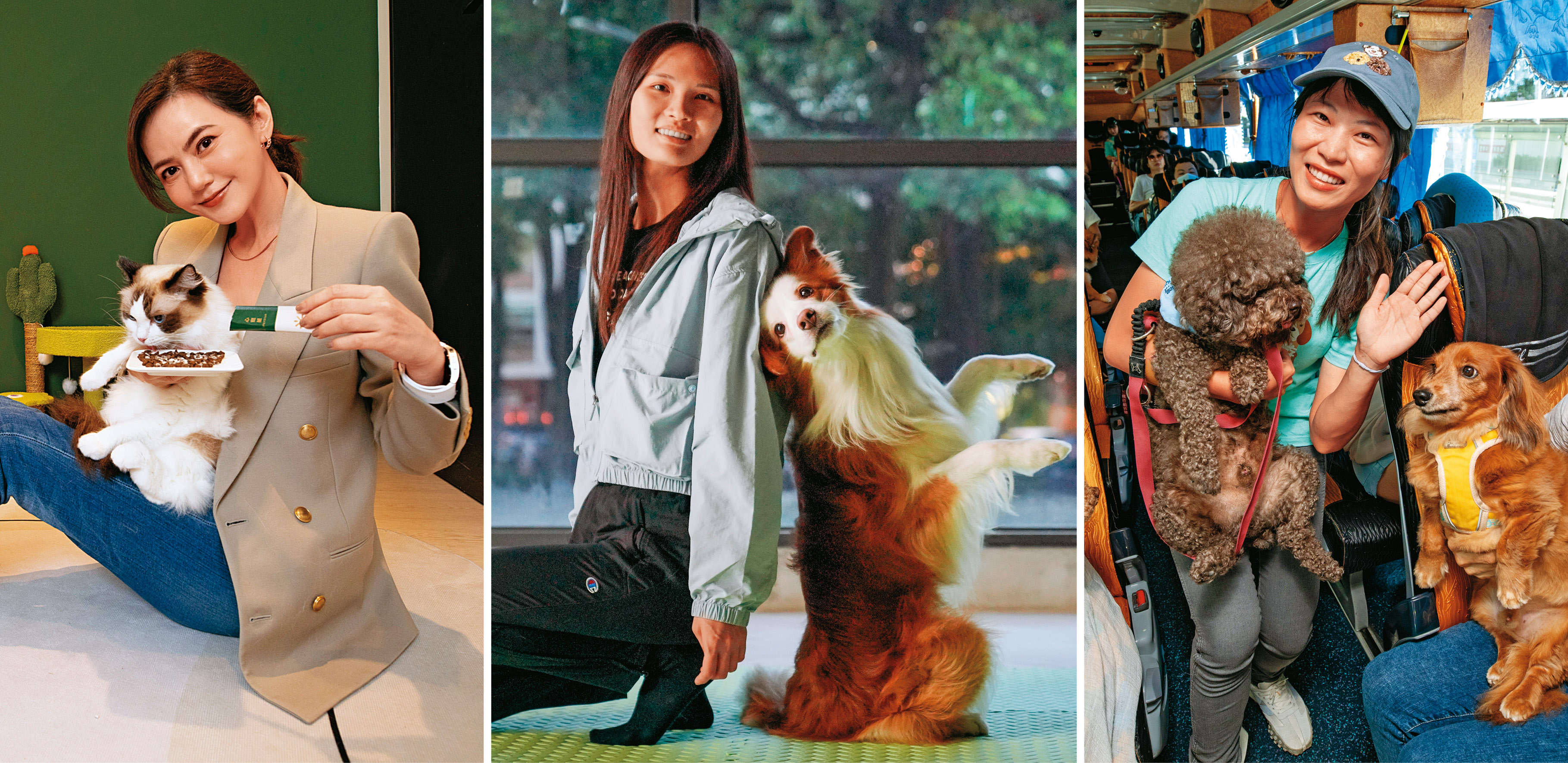 當寵物飼養數量即將超越小孩，各種服務毛孩的新行業也隨之崛起。