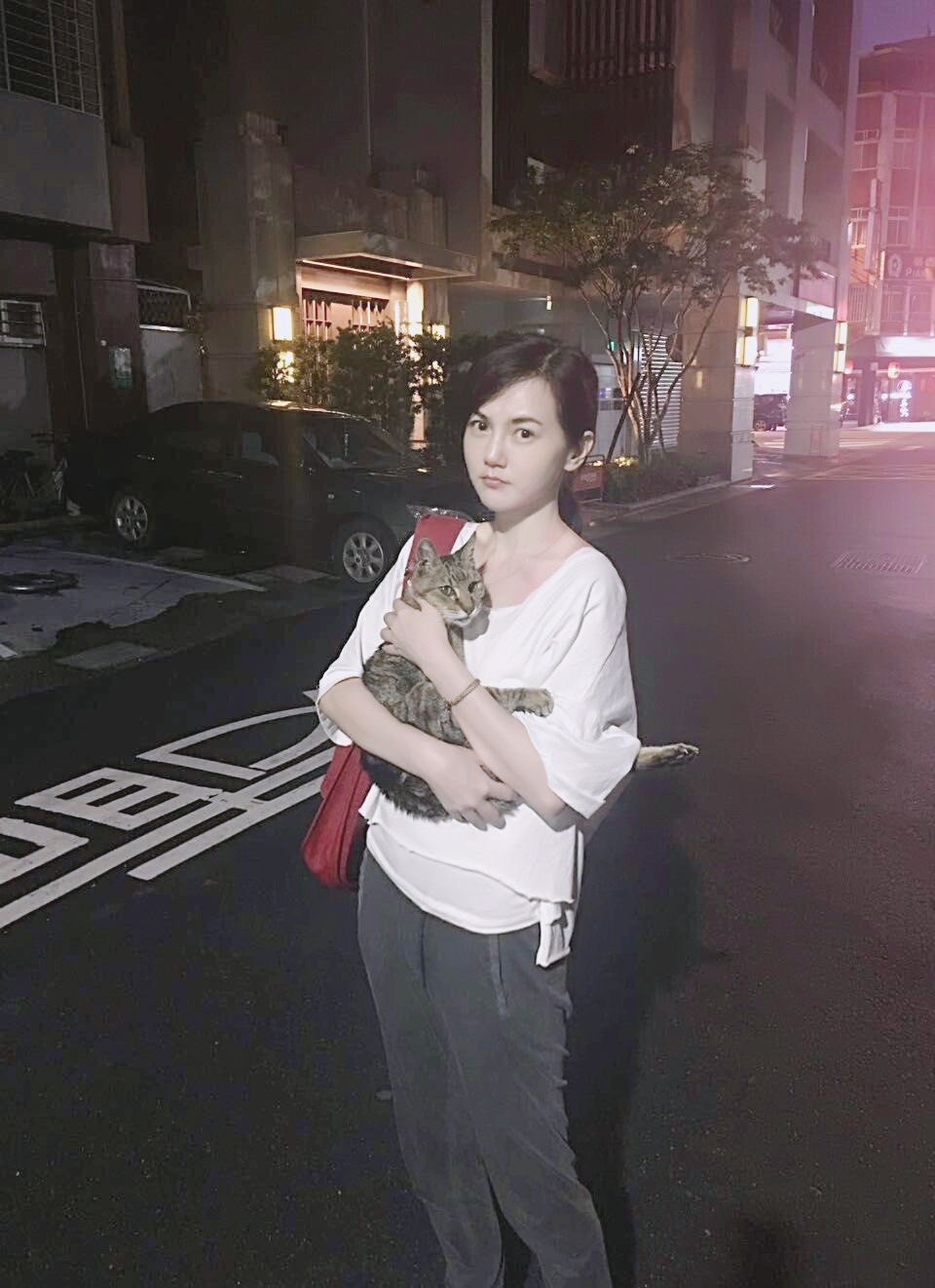 簡沛恩剛出道養的浪貓moby。2017年她帶著養了近20年的moby,最後一次去診所看病。(簡沛恩提供)