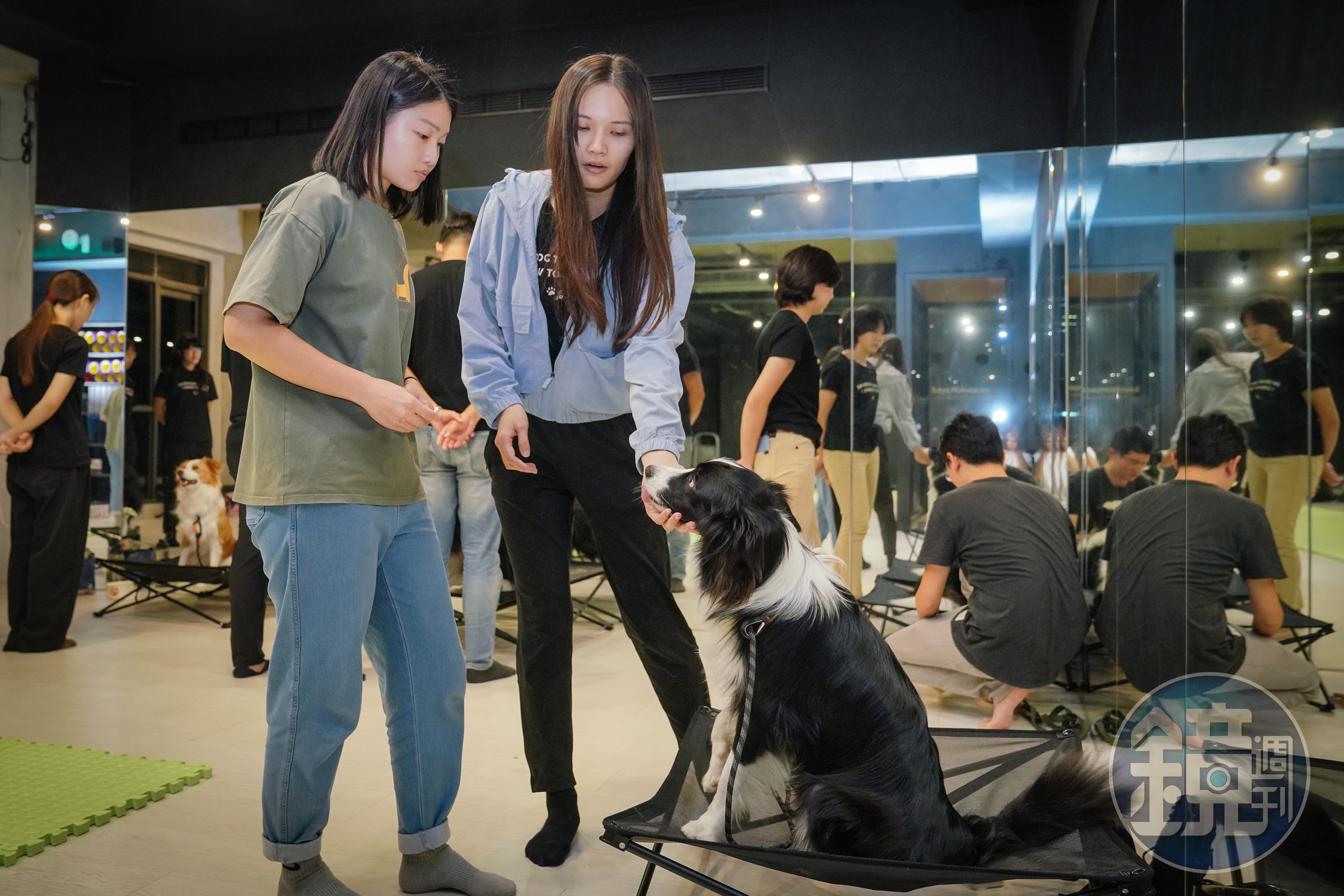 學員帶狗展示專注力的學習成果，莊珺涵（右）在旁指導。