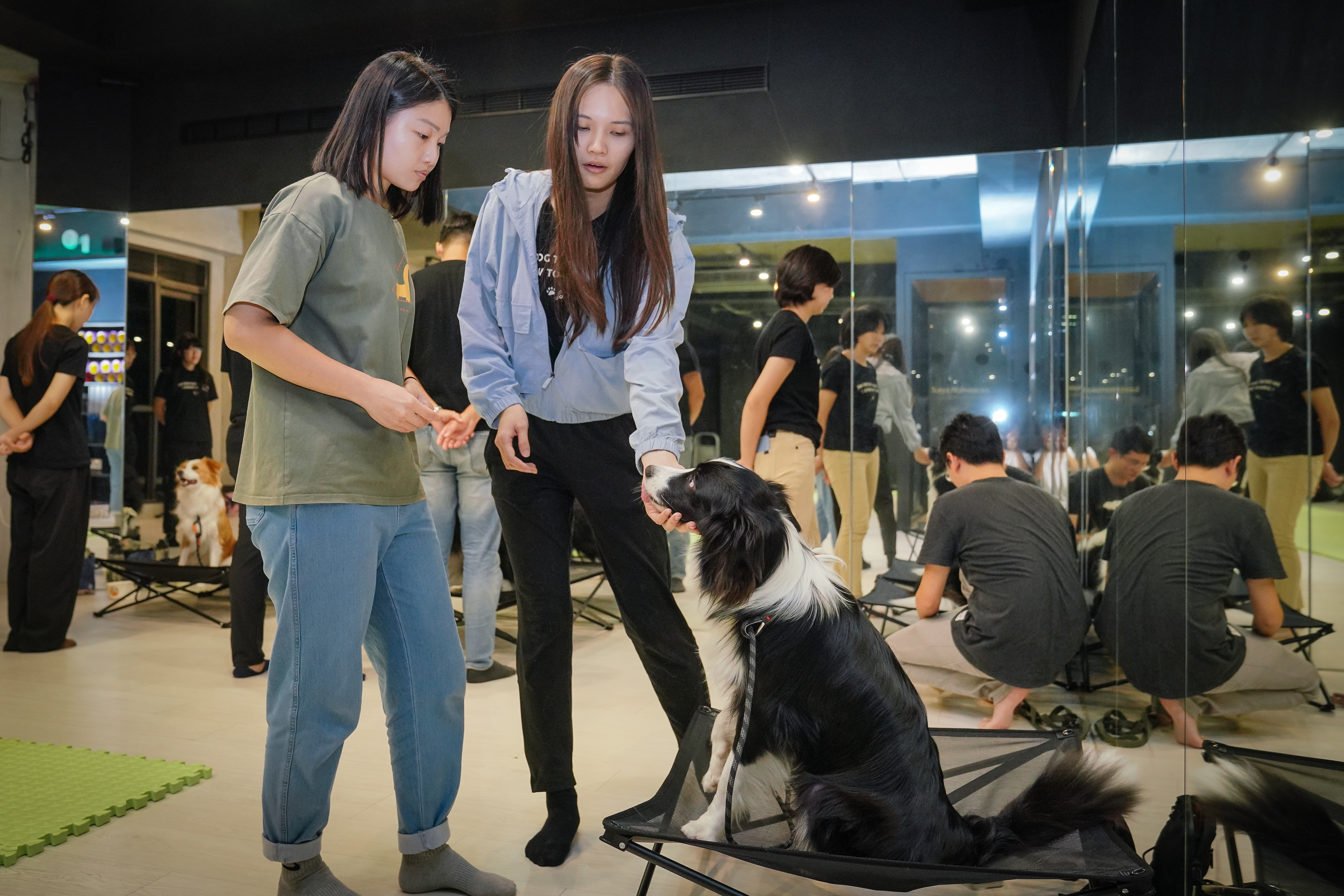 學員帶狗展示專注力的學習成果,莊珺涵(右)在旁指導。