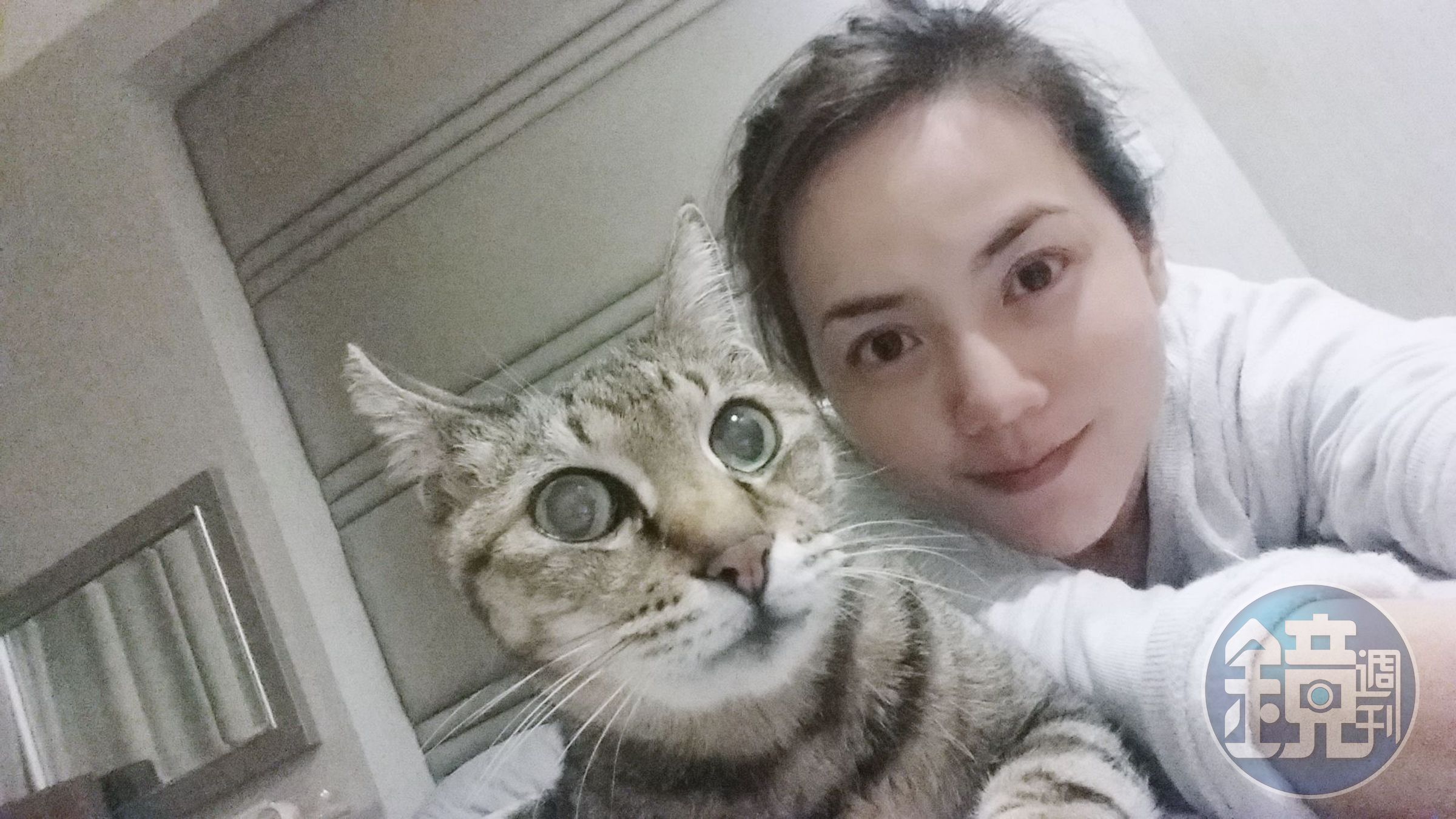 簡沛恩養的第一隻貓Moby，曾陪她走過闖蕩演藝圈的辛苦歲月。（簡沛恩提供）