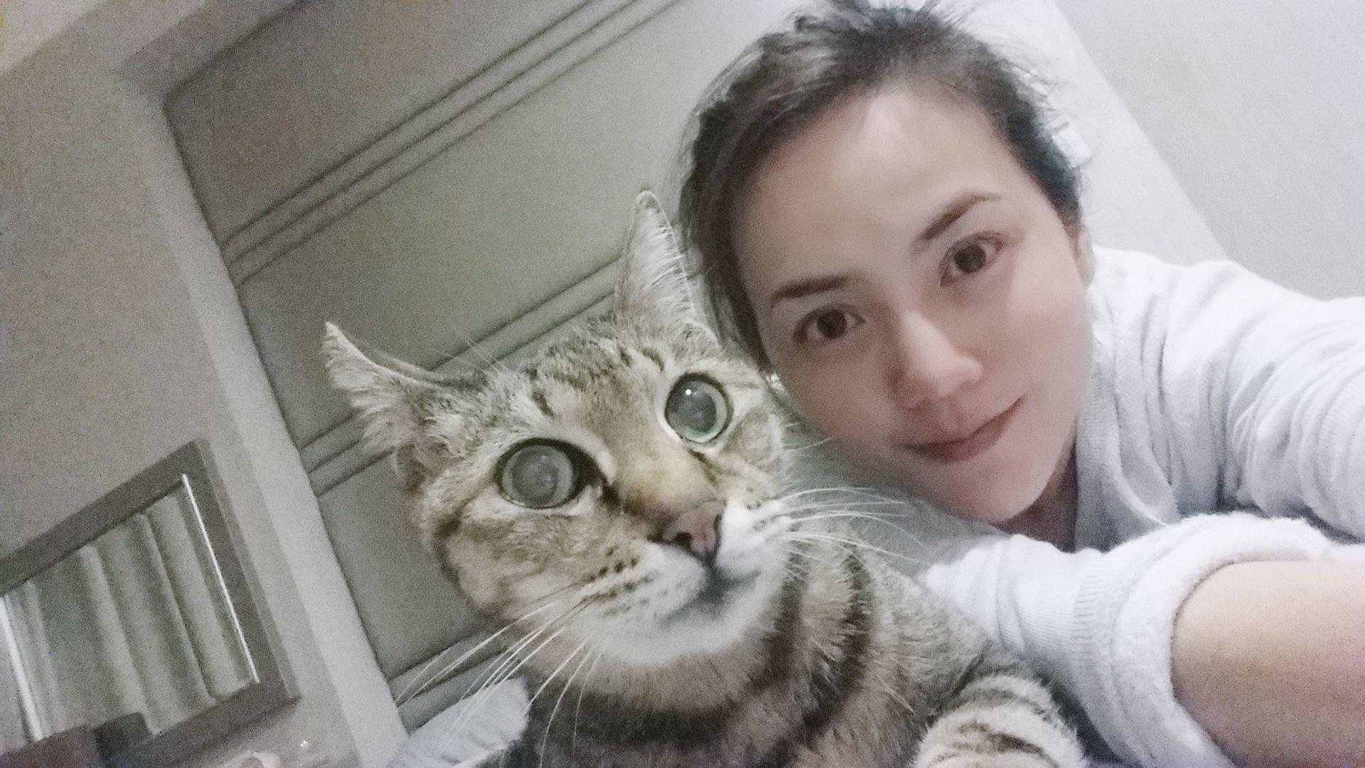 簡沛恩養的第一隻貓Moby,曾陪她走過闖蕩演藝圈的辛苦歲月。(簡沛恩提供)