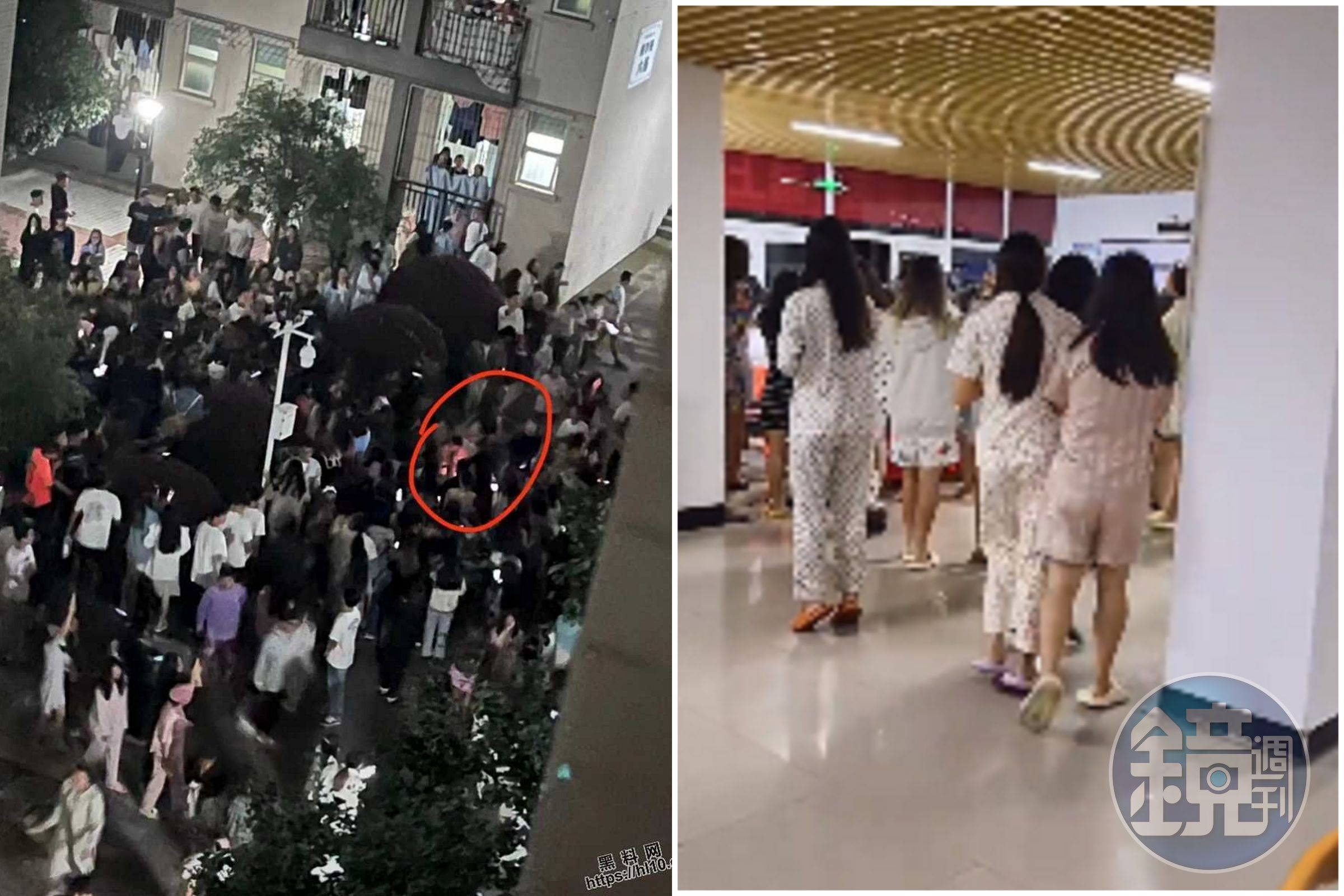 校園戀愛太瘋狂！全校狂奔妹子興奮，驚傳女拉屎、男道歉吃屎後接吻。（翻自微博）