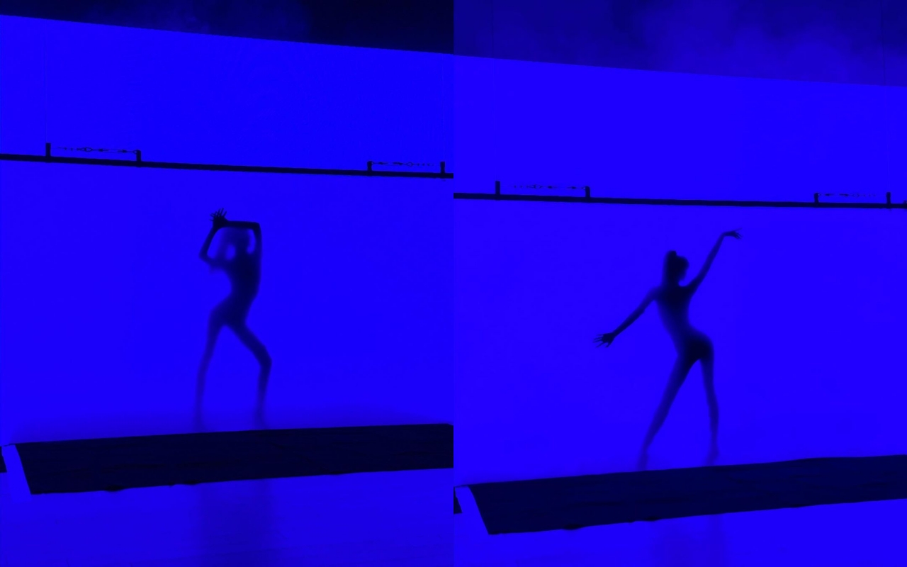 Lisa日前曝光疑似為瘋馬秀彩排的畫面，舞姿辣到爆。（翻攝Lisa INS）