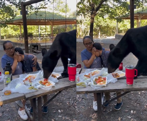 希薇亞錦抱著兒子，並遮住他的眼睛，不讓他受到驚嚇。（翻攝自推特@crazyclipsonly）