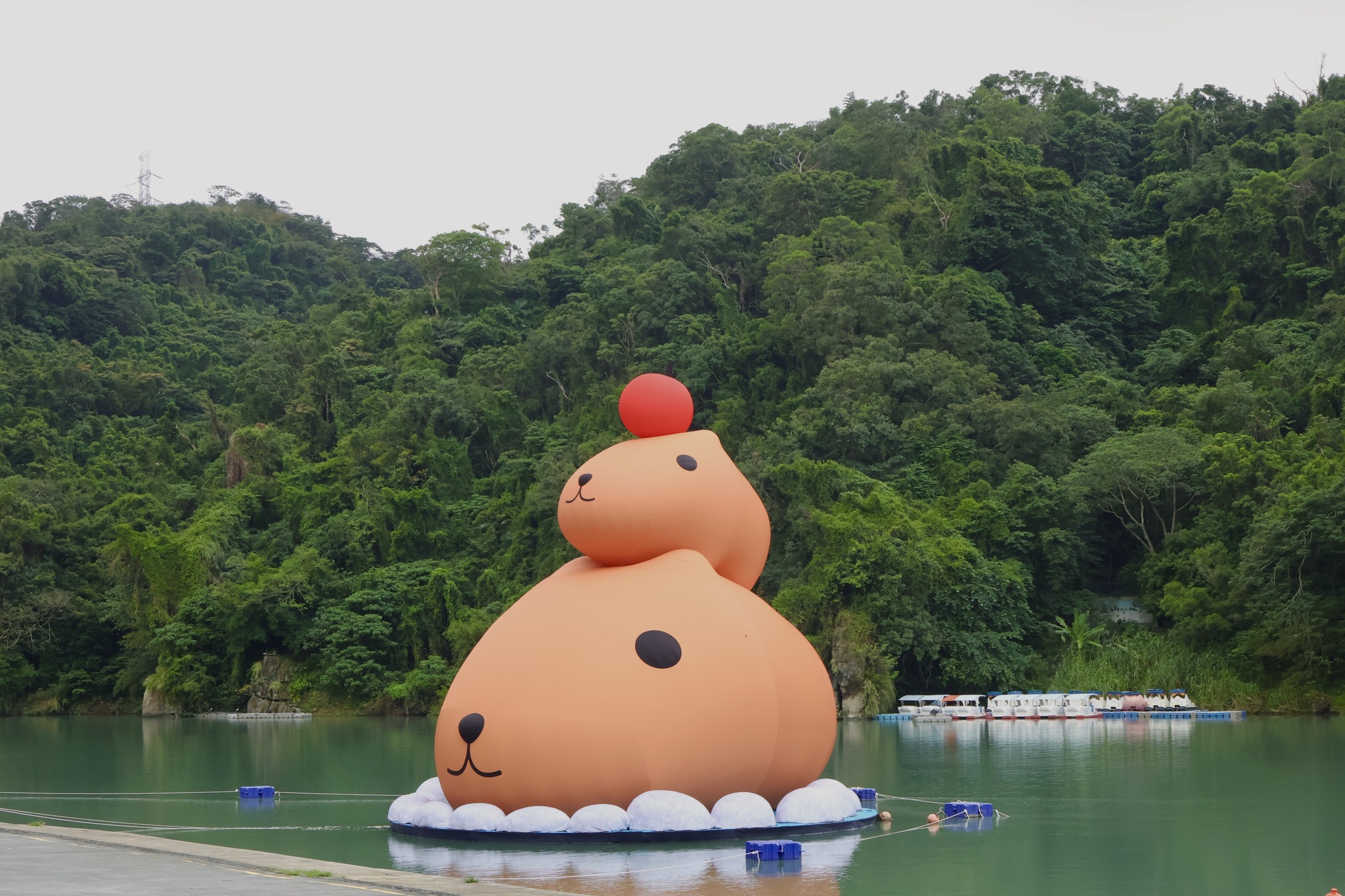 「呆在碧潭の水豚君」於11月起在碧潭風景特定區東岸廣場正式開展，12公尺高的巨型水豚君在碧潭泡湯。（新北市政府觀光旅遊局提供）