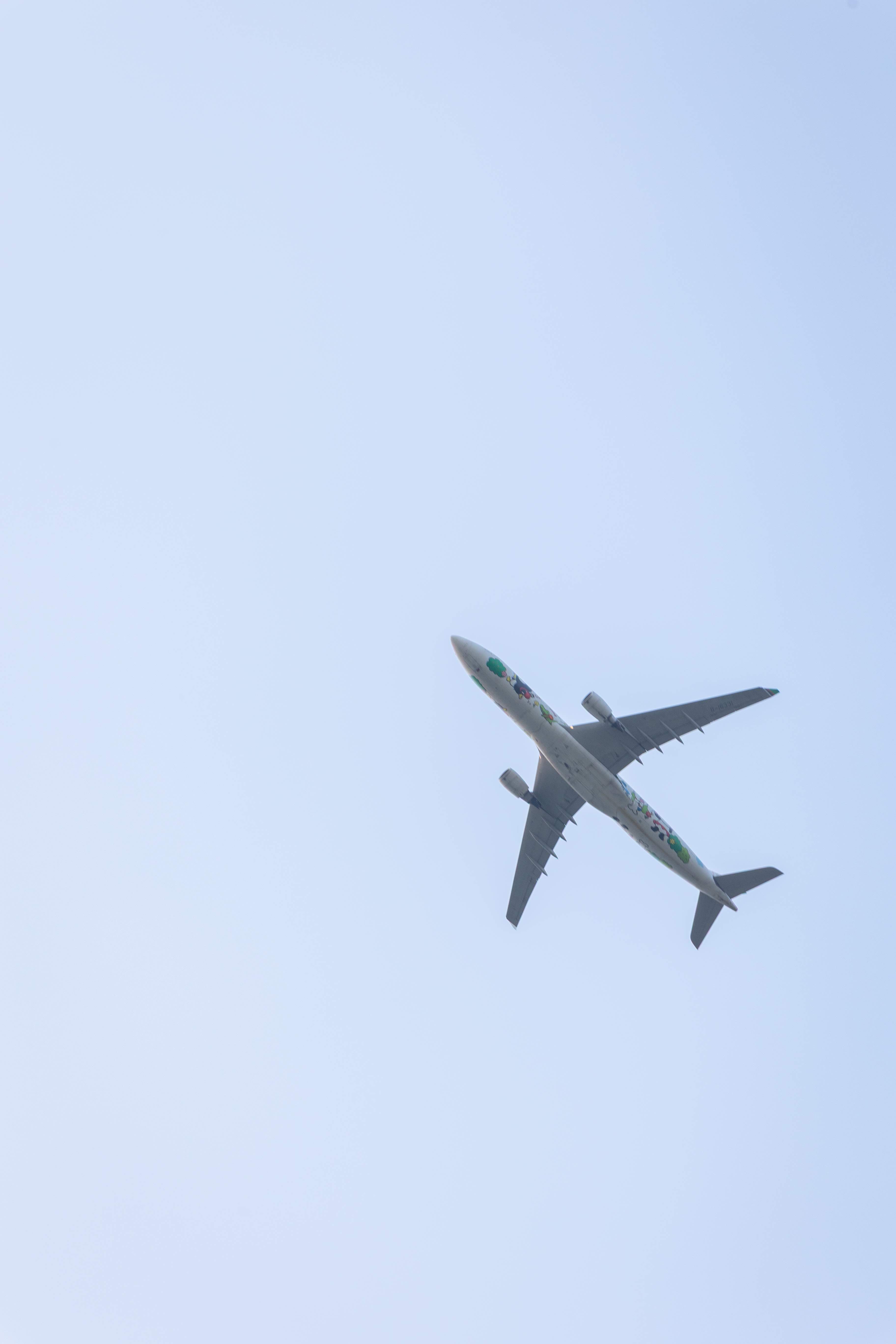 農場內視野開闊，還能看見飛機從上空掠過。
