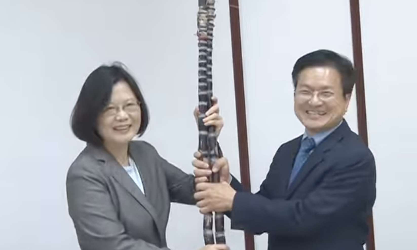 蔡英文當年也曾獲贈「多節甘蔗」,隔年順利當選總統。(翻攝自YouTube公益頻道)