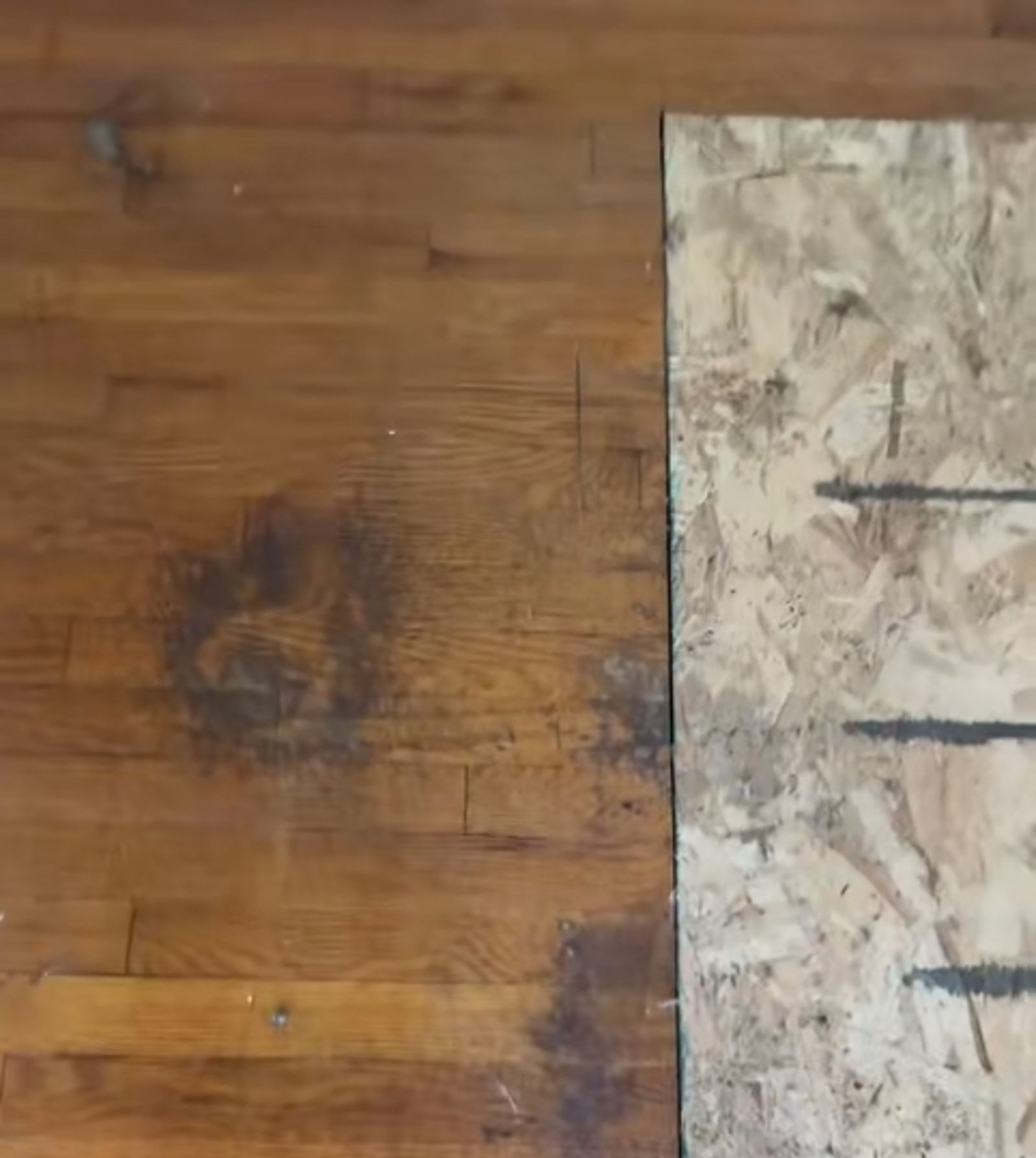 據專業解釋，印記其實是前屋主過世後，遺體液化滲入地板所留下。（翻攝自tiktok@snyderrealestategroup_ia）