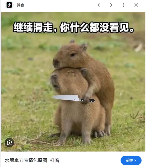 水豚拿刀脅迫的畫面因為其衝突感而成為網路流傳的迷因哏圖。(翻攝網路)