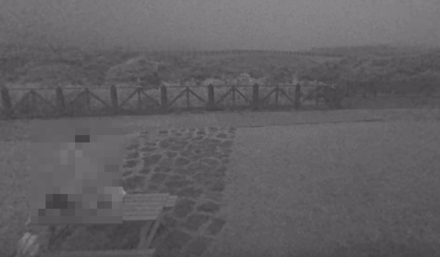 陽明山深夜「草原活春宮」,當事情侶身分已被掌握,將到案說明。(翻攝YT「陽明山國家公園管理處INFO」)