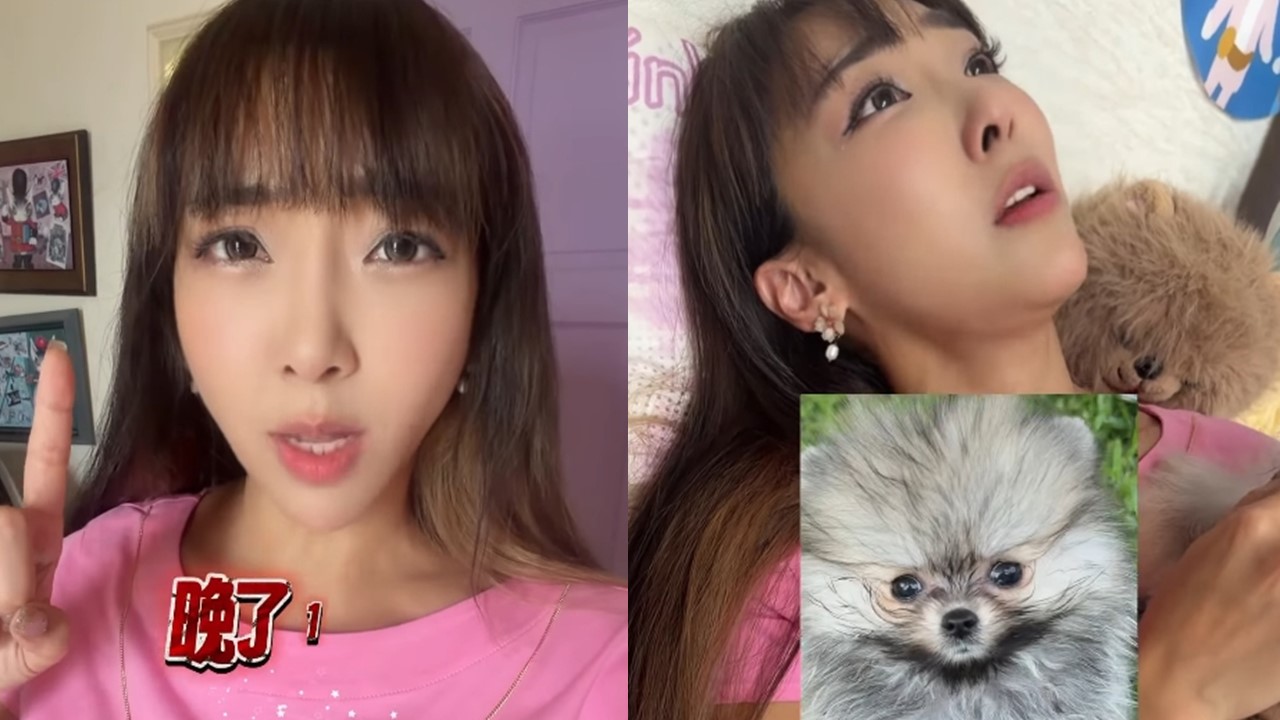 愛犬剛過世…驗孕突冒出2條線! 「資生堂千金」李宓淚崩:牠回來找我了