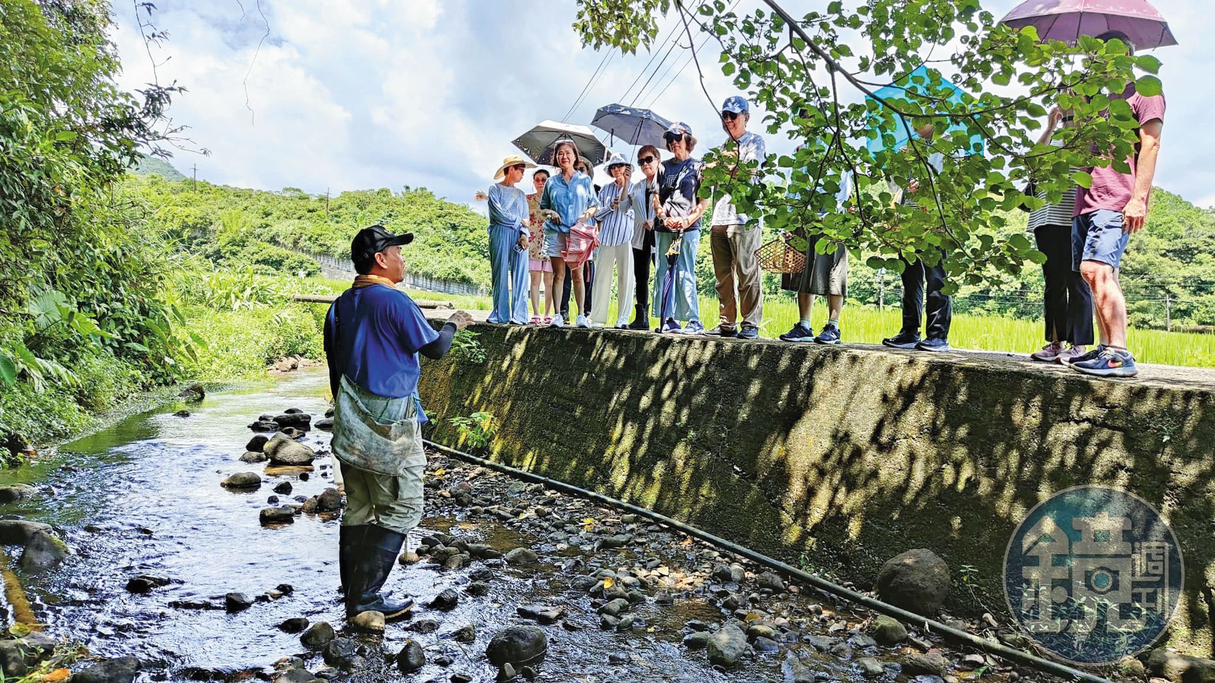 楊儒門在金山辦活動,帶遊客做農村體驗。(翻攝楊儒門臉書)