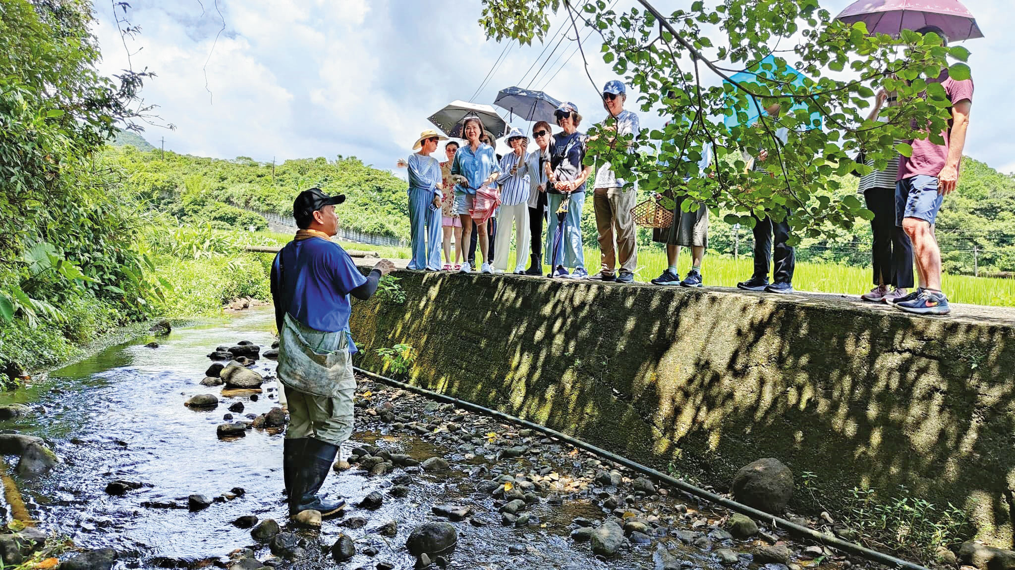 楊儒門在金山辦活動，帶遊客做農村體驗。（翻攝楊儒門臉書）