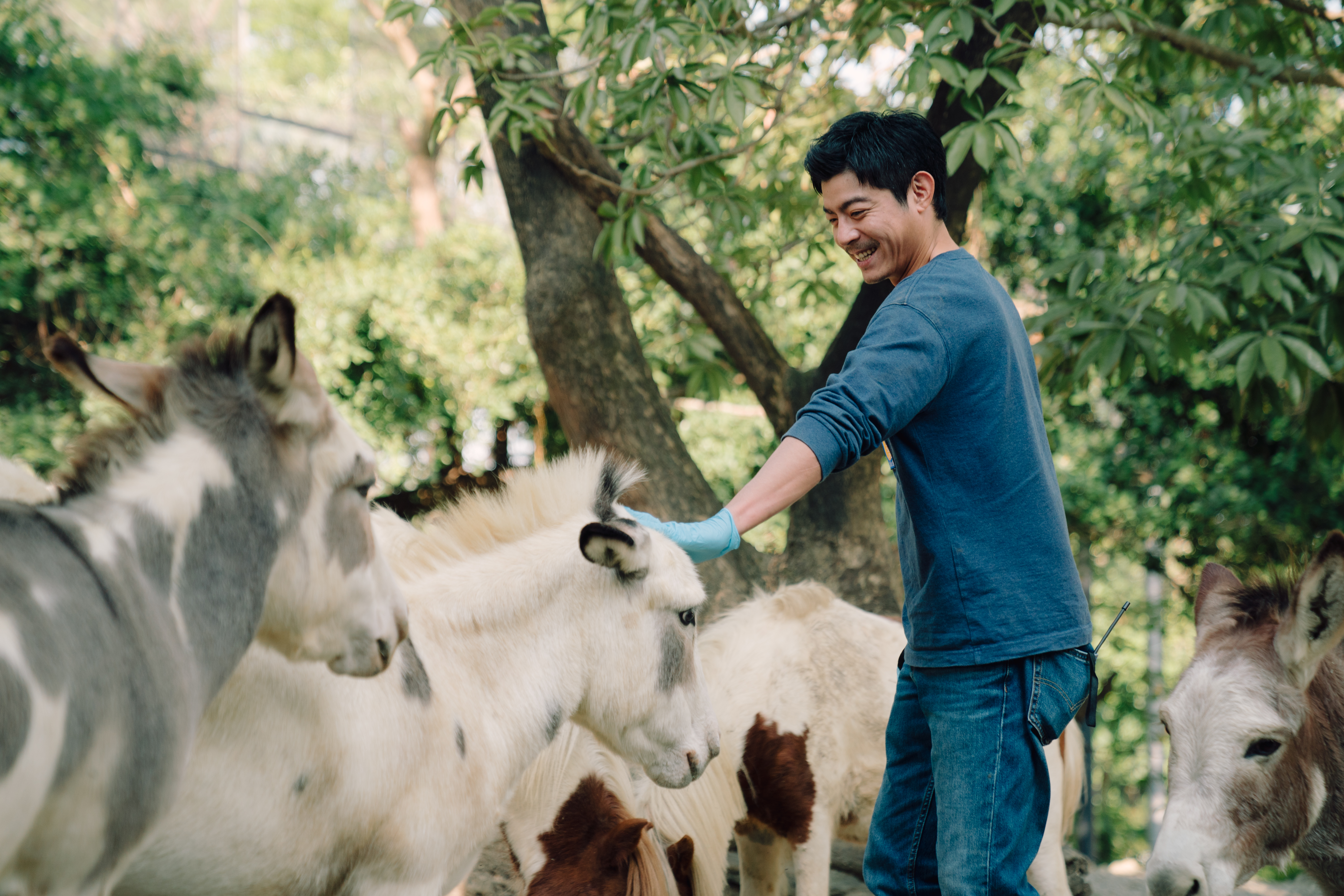 王柏傑在《動物園》中飾演資深保育員,在人與動物的互動中重新思考生命的意義與價值。(Disney+提供)