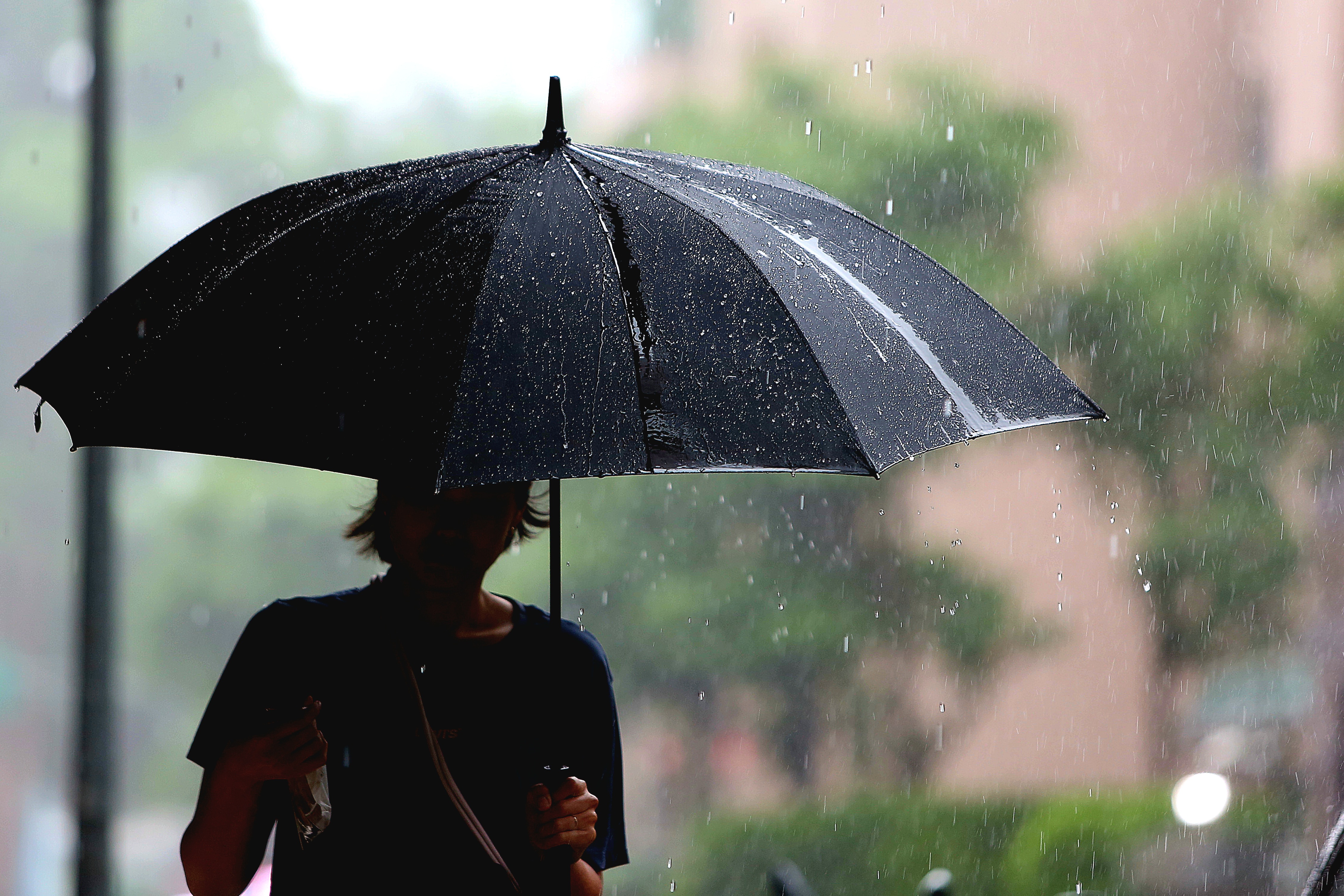 受到西南風及鋒面影響，全台今天都有明顯雨勢。（鏡報姜永年）