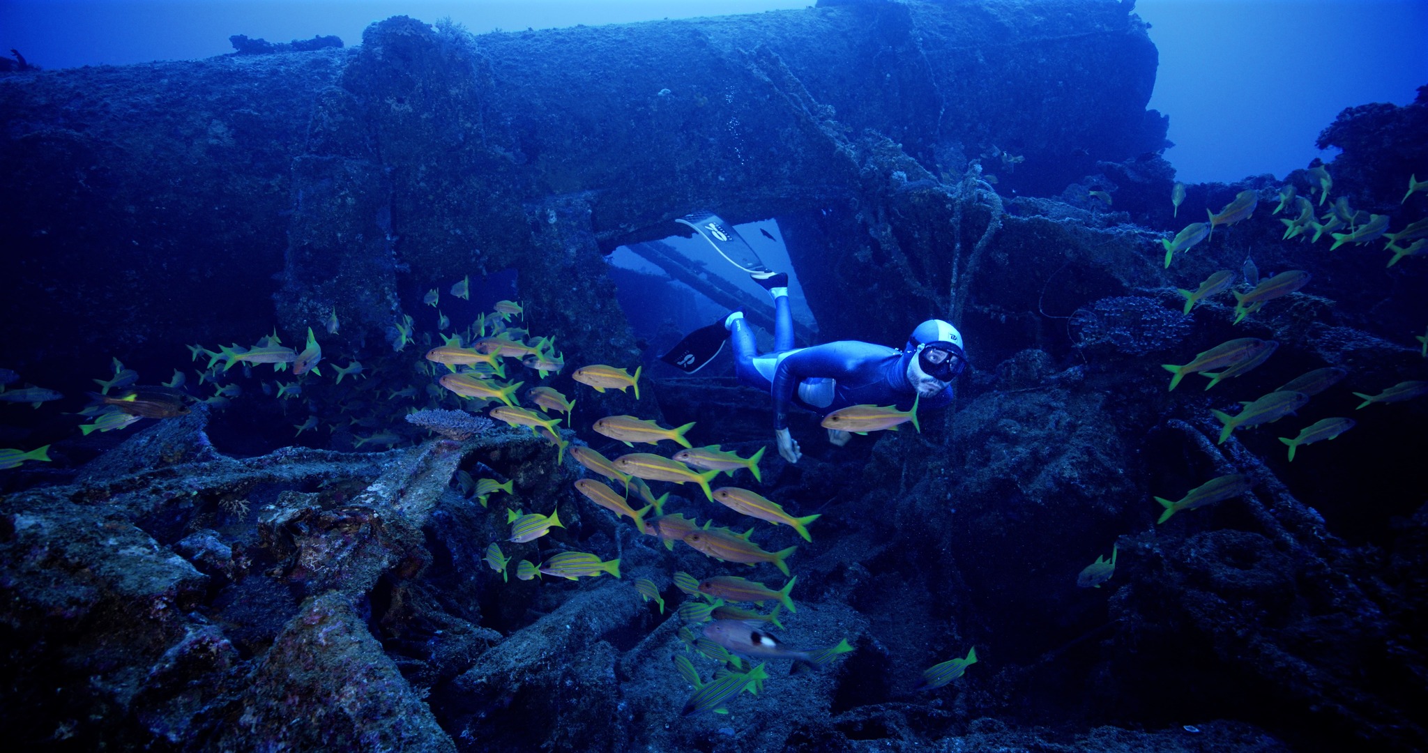 自由潛水演出者 Pepe Arcos穿梭在魚群與沈船之間。（牽猴子提供）