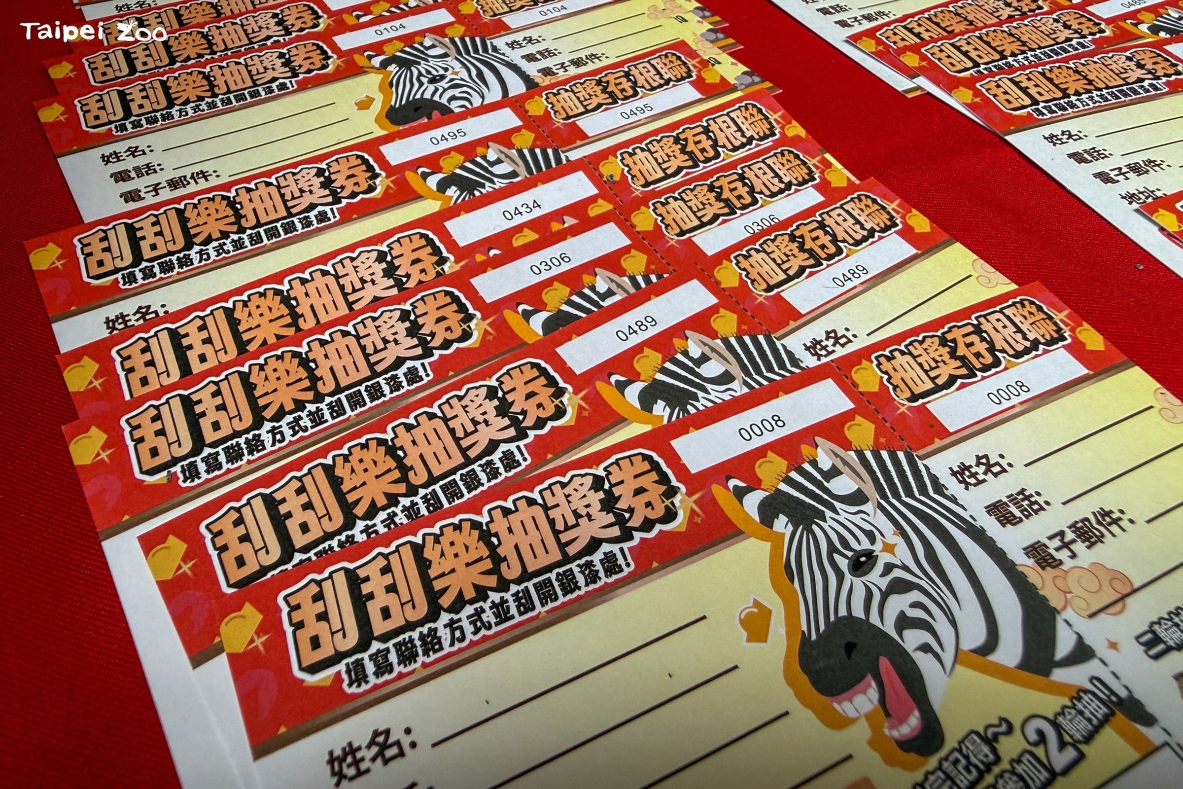 台市立動物園春節推出馬年刮刮樂,凡入園消費滿額就能兌換一張刮刮樂。(翻攝自Taipei Zoo 臺北市立動物園臉書)