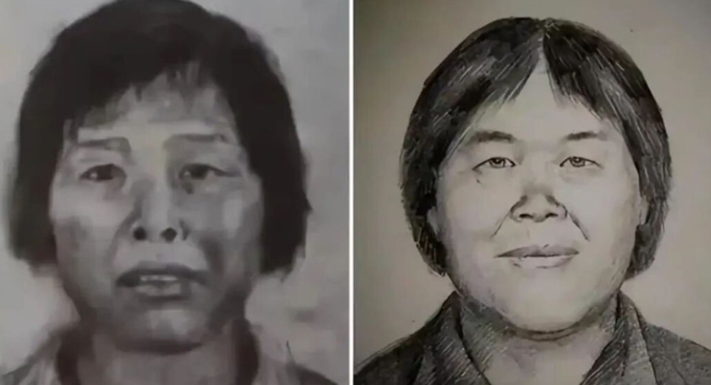 中國人販子「梅姨」近日落網。圖為「梅姨」的畫像。(翻攝自微博)