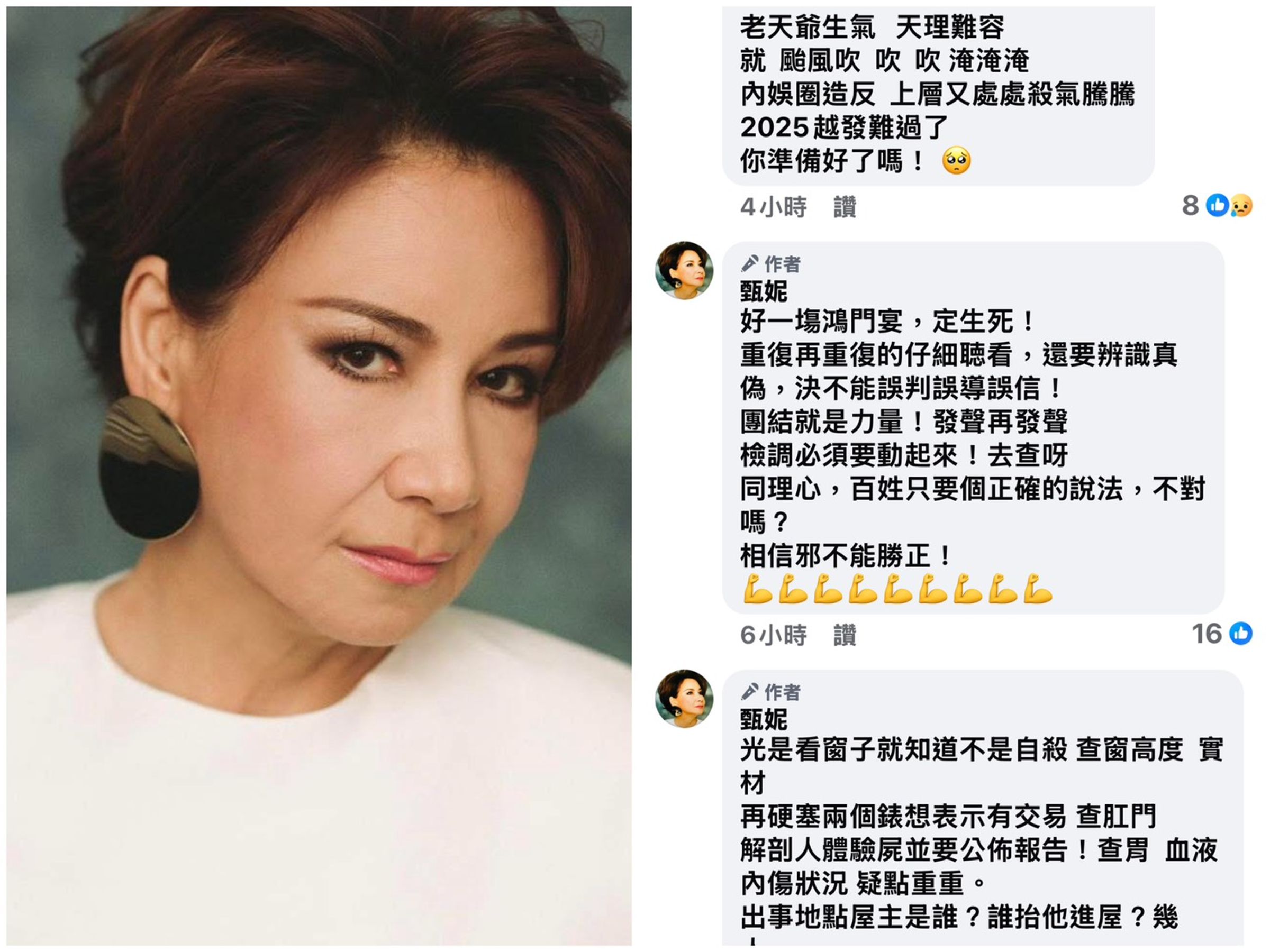 甄妮連日發多文痛批娛樂圈敗壞。（翻攝臉書）