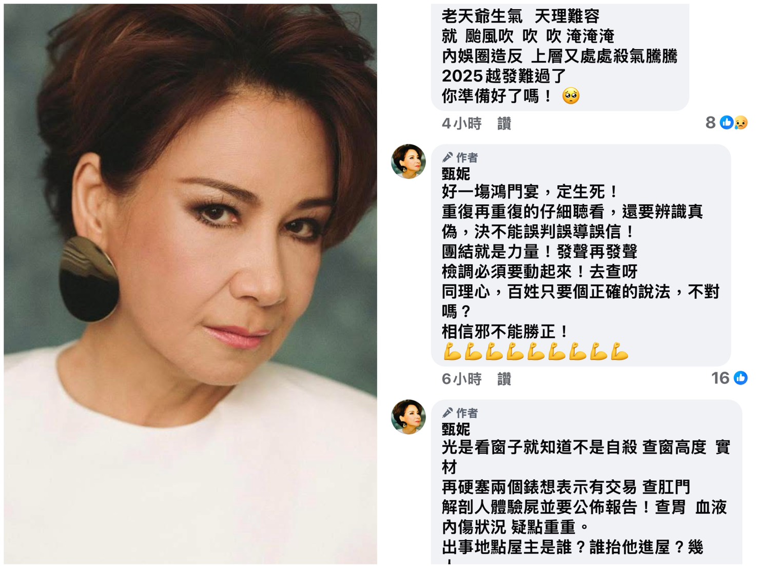 甄妮連日發多文痛批娛樂圈敗壞。（翻攝臉書）