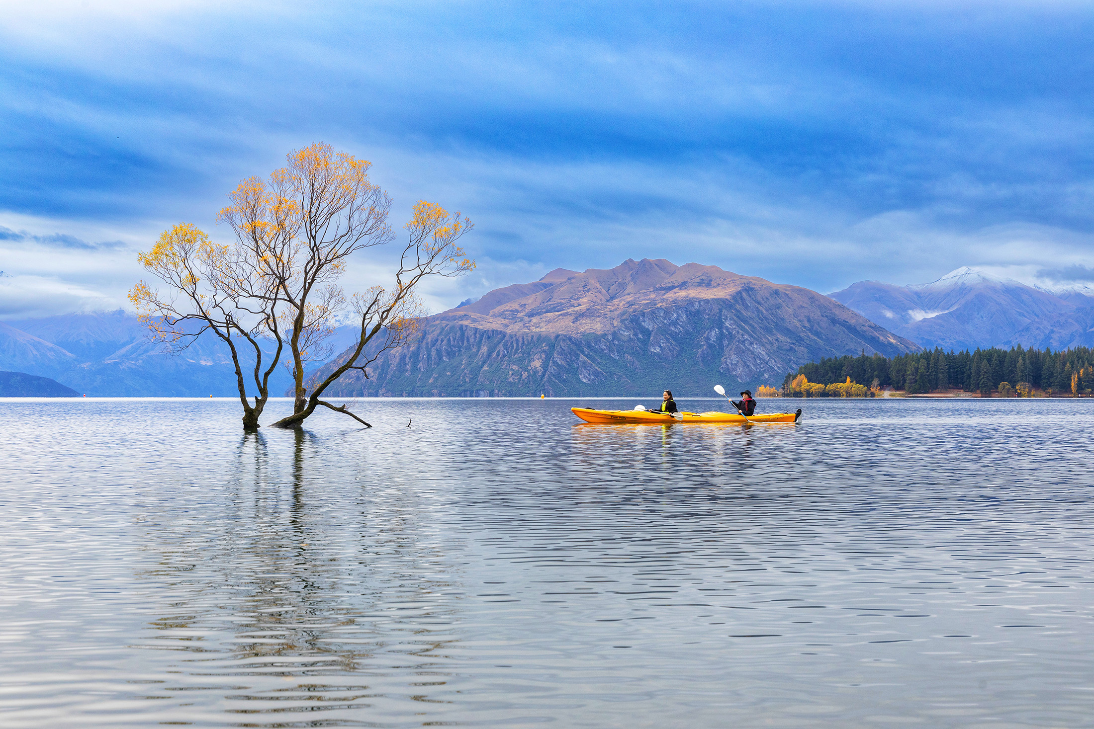 被稱作「世界最孤獨的樹」的是一棵佇立於瓦納卡湖中的柳樹，因為與平靜湖面、南阿爾卑斯山脈形成充滿詩意的畫面，讓這棵樹成為超人氣打卡景點。