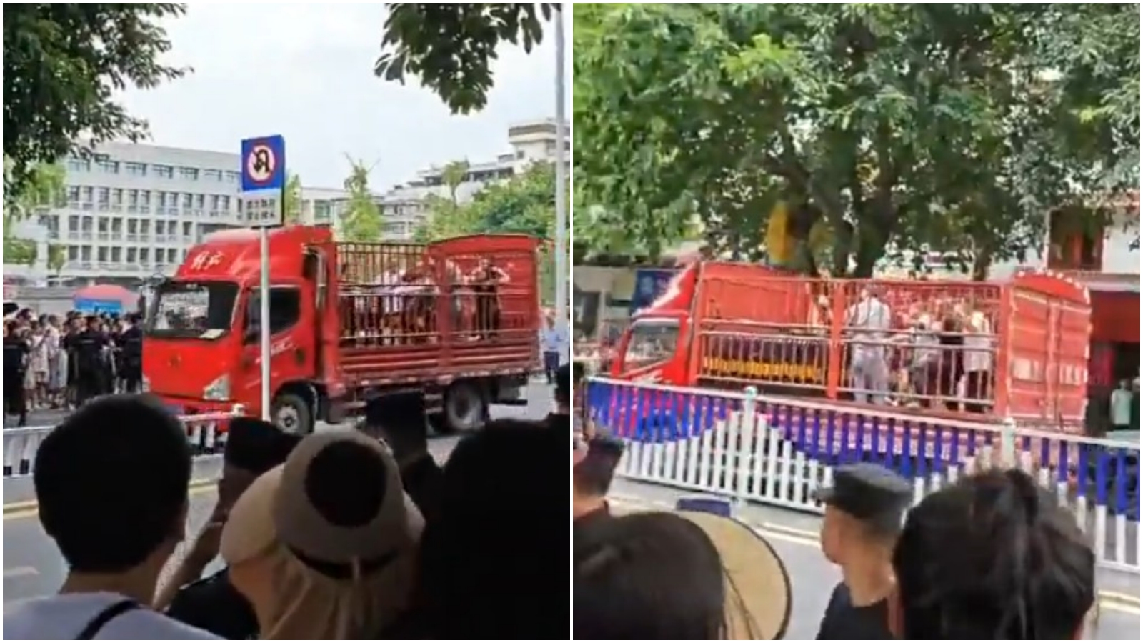 4日下午就有抗議民眾被抓上運豬車載走。(翻攝X「李老師不是你老師」)