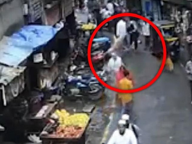 慎入！黃金獵犬遭人惡意摔下5層樓重傷，壓死3歲女童。（翻自《每日郵報》）