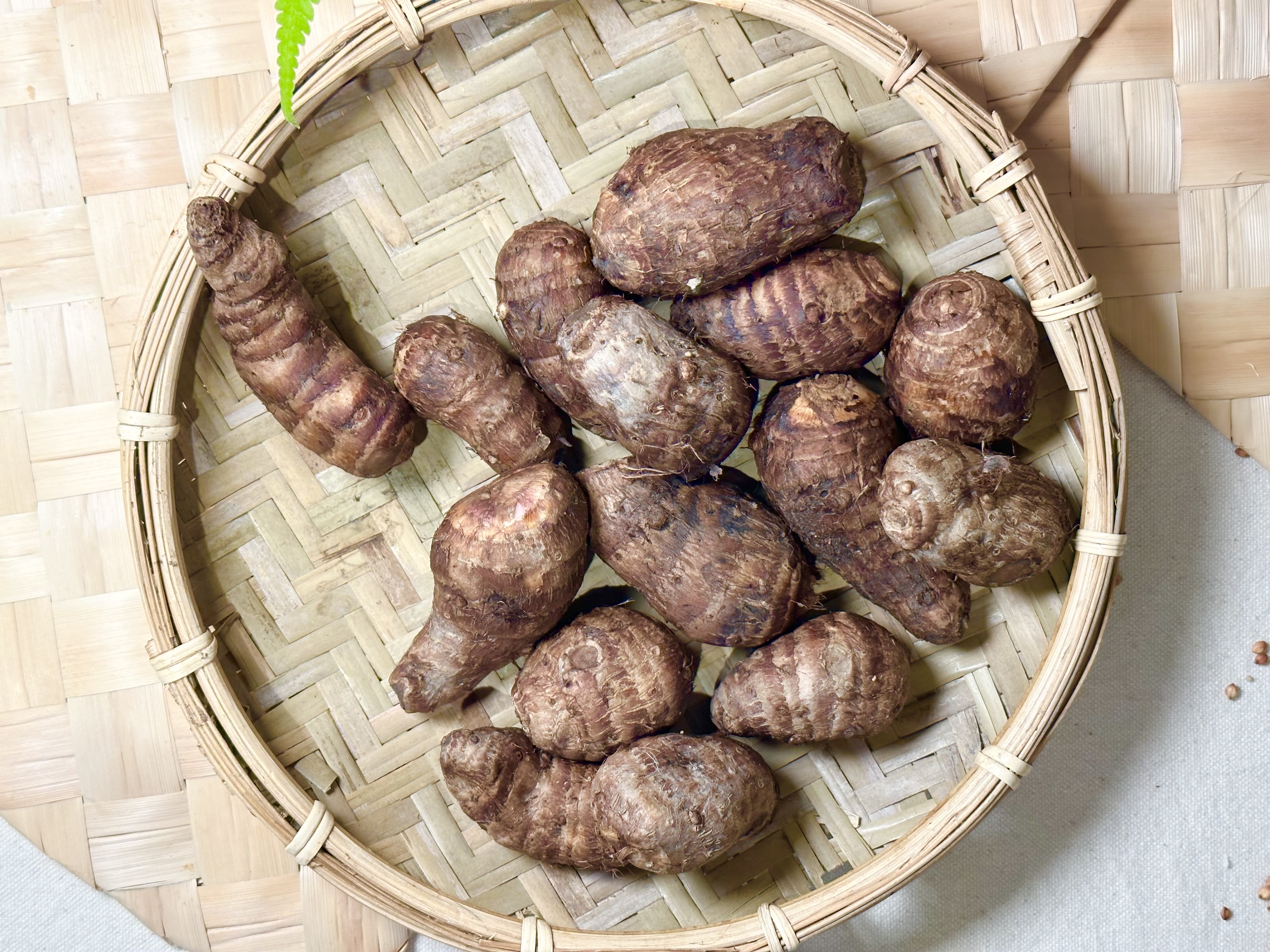 西拉雅芋屬於體型較小的子芋，平常會當作主食，口感綿軟，香氣比一般芋頭淡。