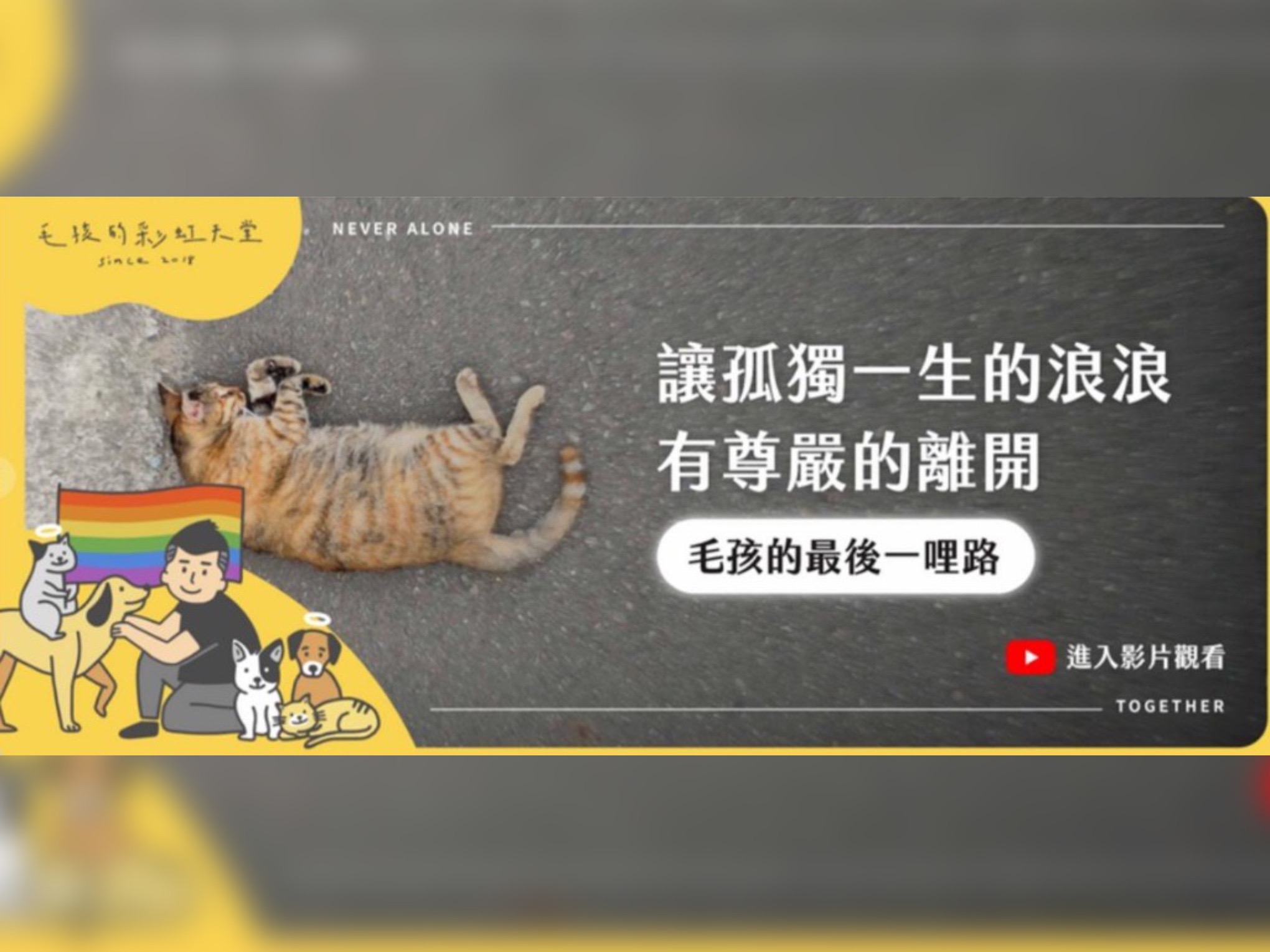 毛孩的彩虹天堂林姓負責人，因挪用「毛孩的最後一哩路」募款3日遭起訴，但3天後傳陳屍台中租屋處。（翻攝畫面）